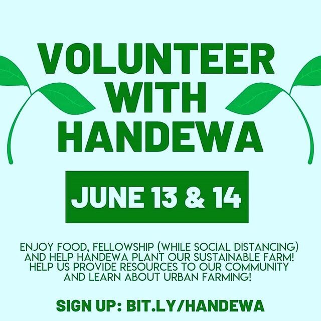 🌿 Come volunteer with us at Handewa farms and be apart of something phenomenal 🌿🌾