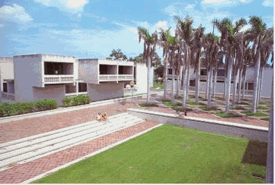 Buildings I Love, Harold Bubil: No. 2: Lincoln Road Parking Garage, 2010,  Miami