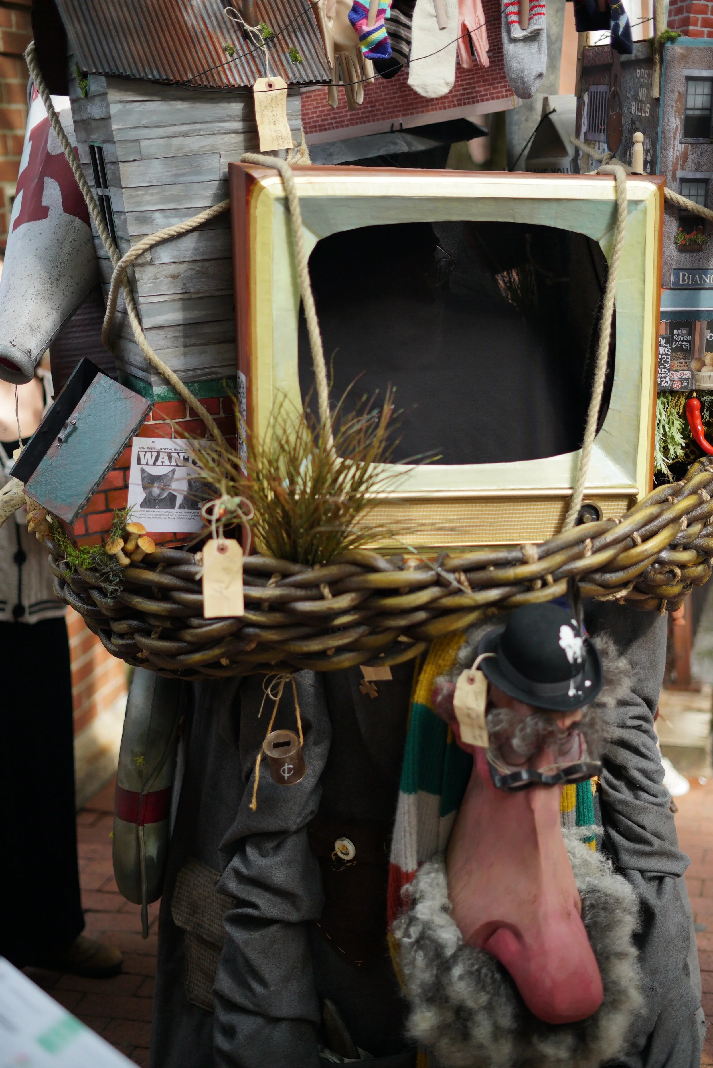 Photos by Dan Martin