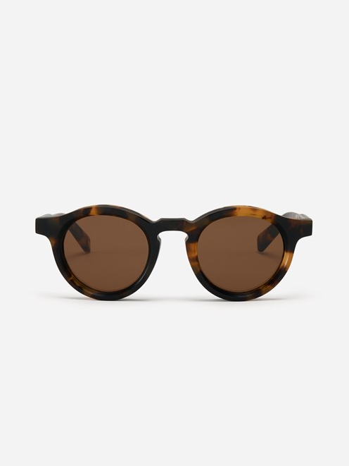 SP-01 Tortoise_clipped_rev_1.png