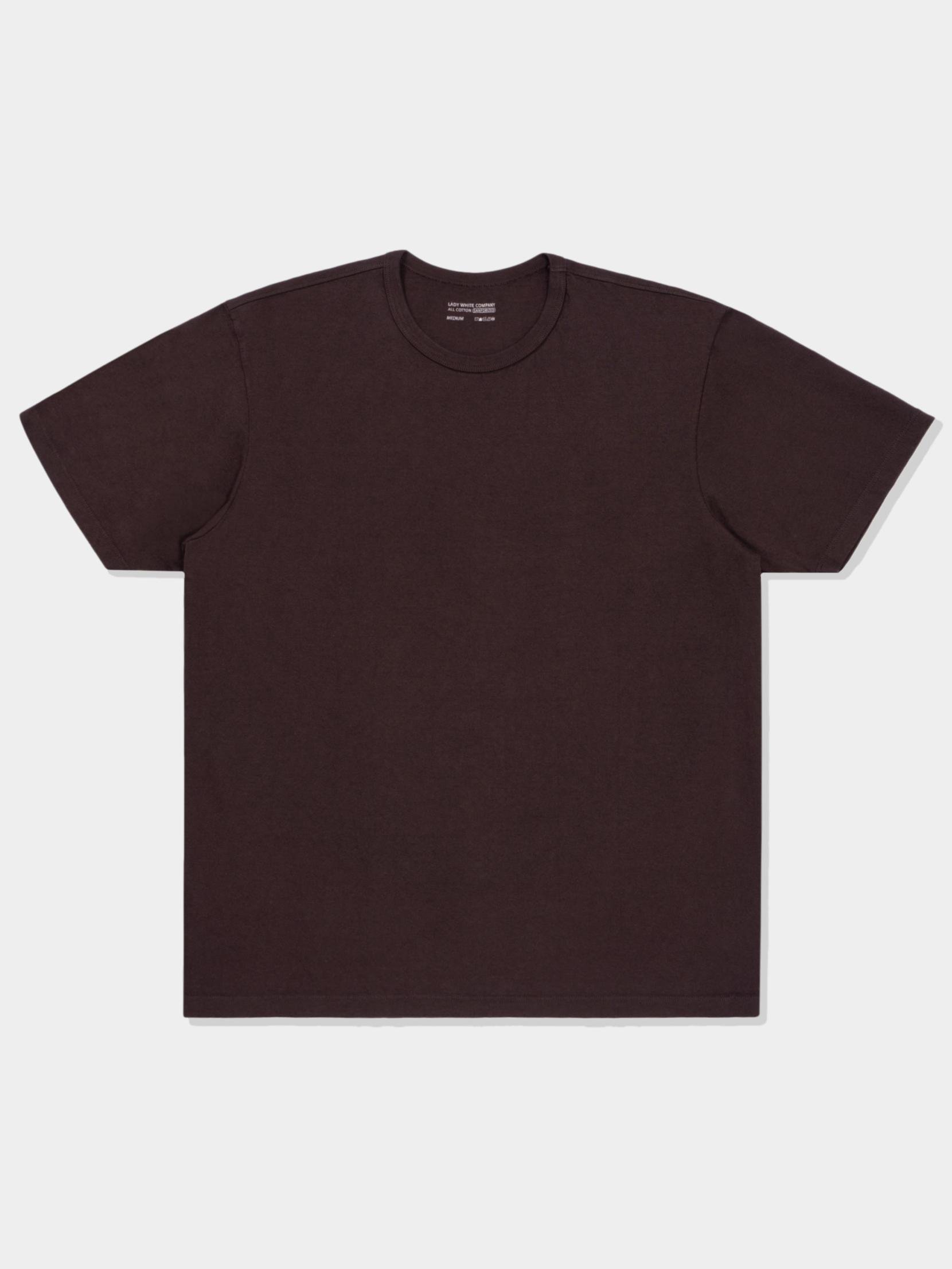 LW101S-OUR-T-SHIRT-MUDDY-BROWN-1_clipped_rev_1.jpeg