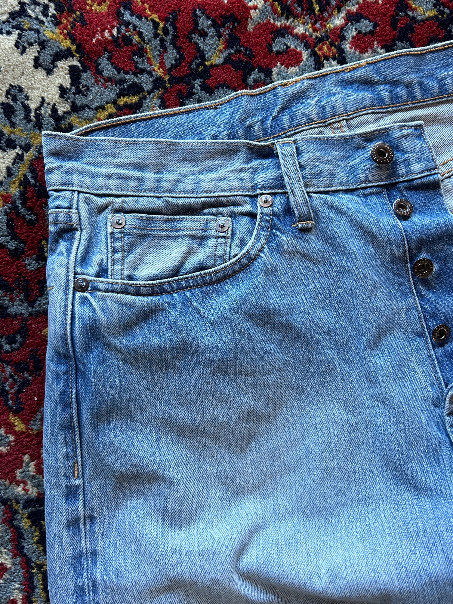 IMG_2259_clipped_rev_1.png