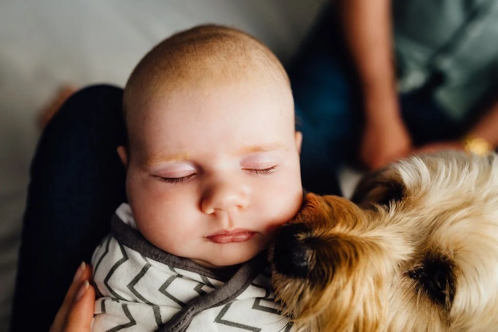 Kennedy - In-Home Newborn Session