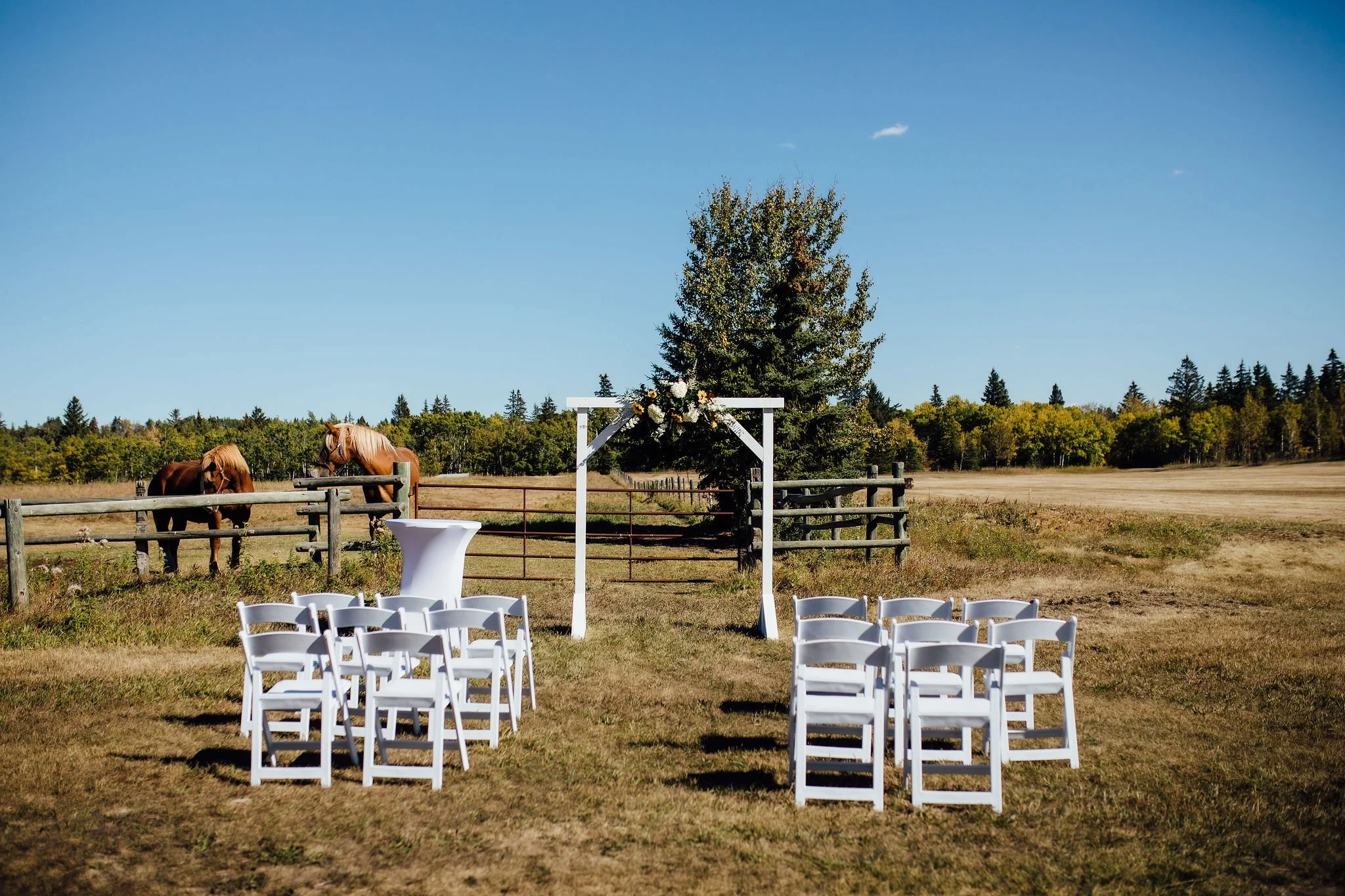 Heritage Ranch Wedding Photography 269.JPG