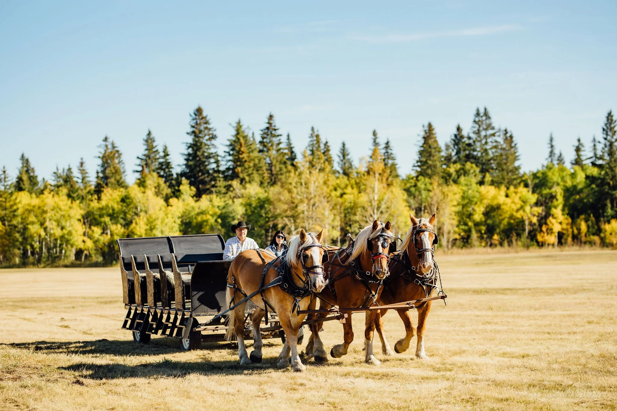 Heritage Ranch Wedding Photography 277.JPG