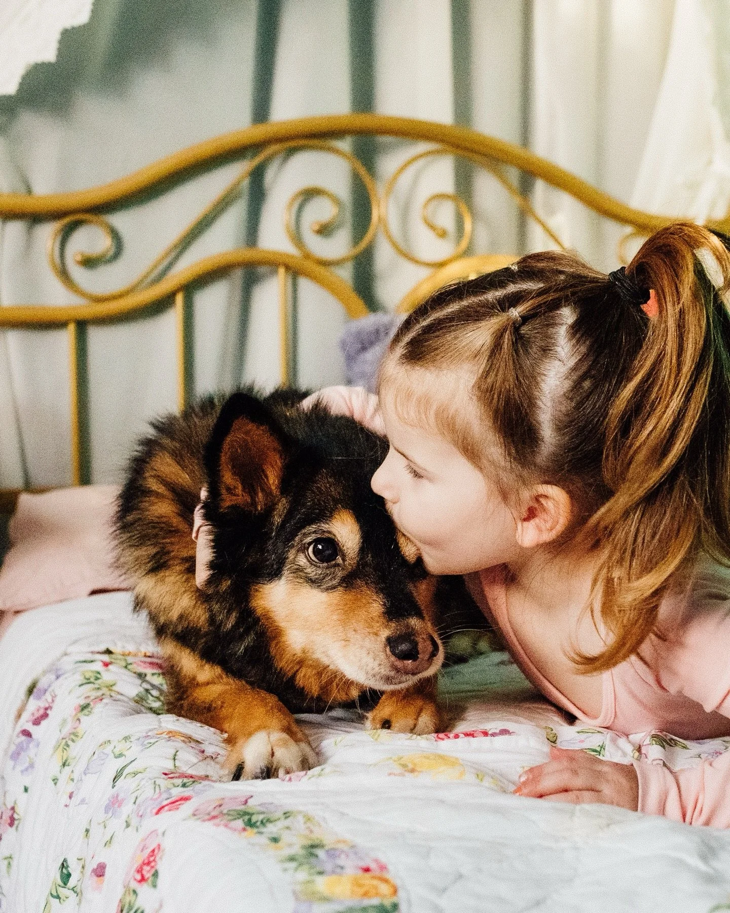 On Friday we had to say goodbye to Zoe and it is a devastating loss especially so soon after losing Suki. 

Zoe was my special girl, she was lowkey feral when we adopted her and she nipped multiple people in those first few years. 🤦&zwj;♀️ When we w