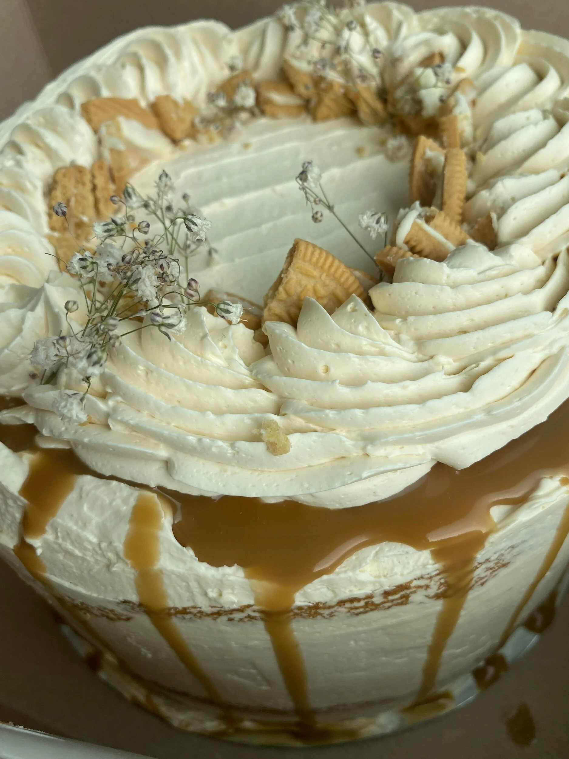 1B9424C6-75BF-40E2-9EF1-A43C8E4E3900