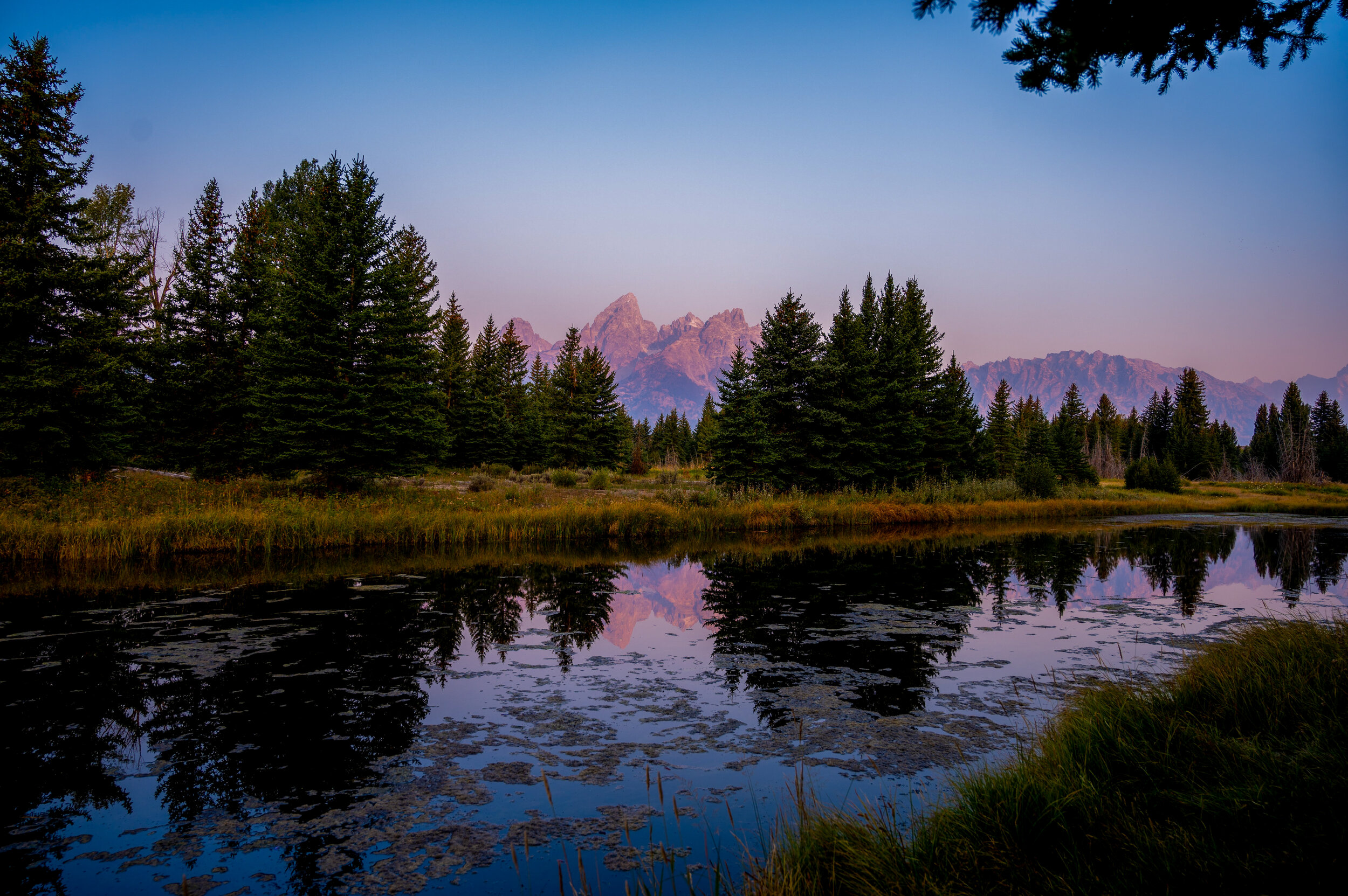 Schwabacher landing, Grand Teton National park