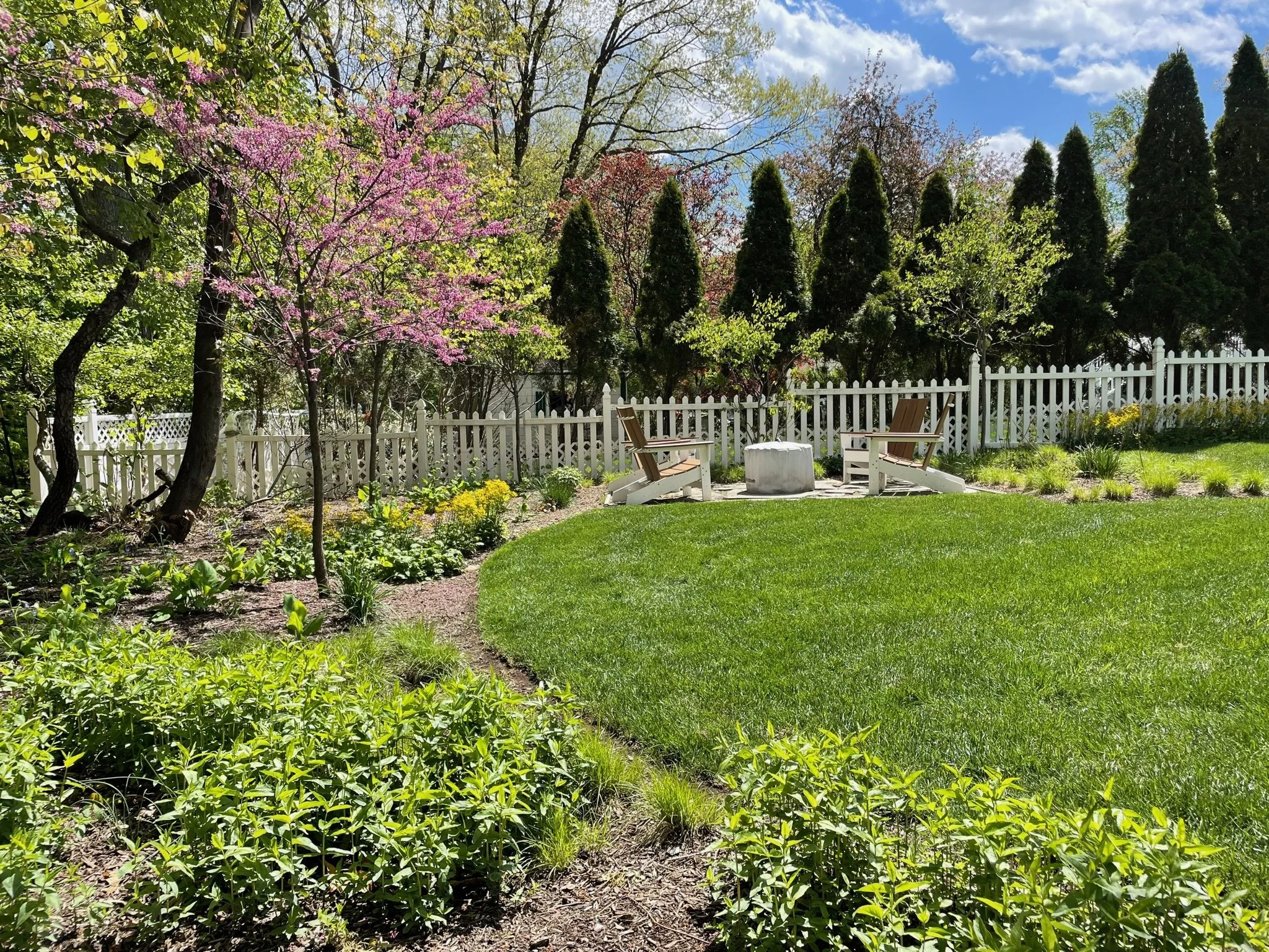 Living Evolution - Trading Lawn for Ecosystem