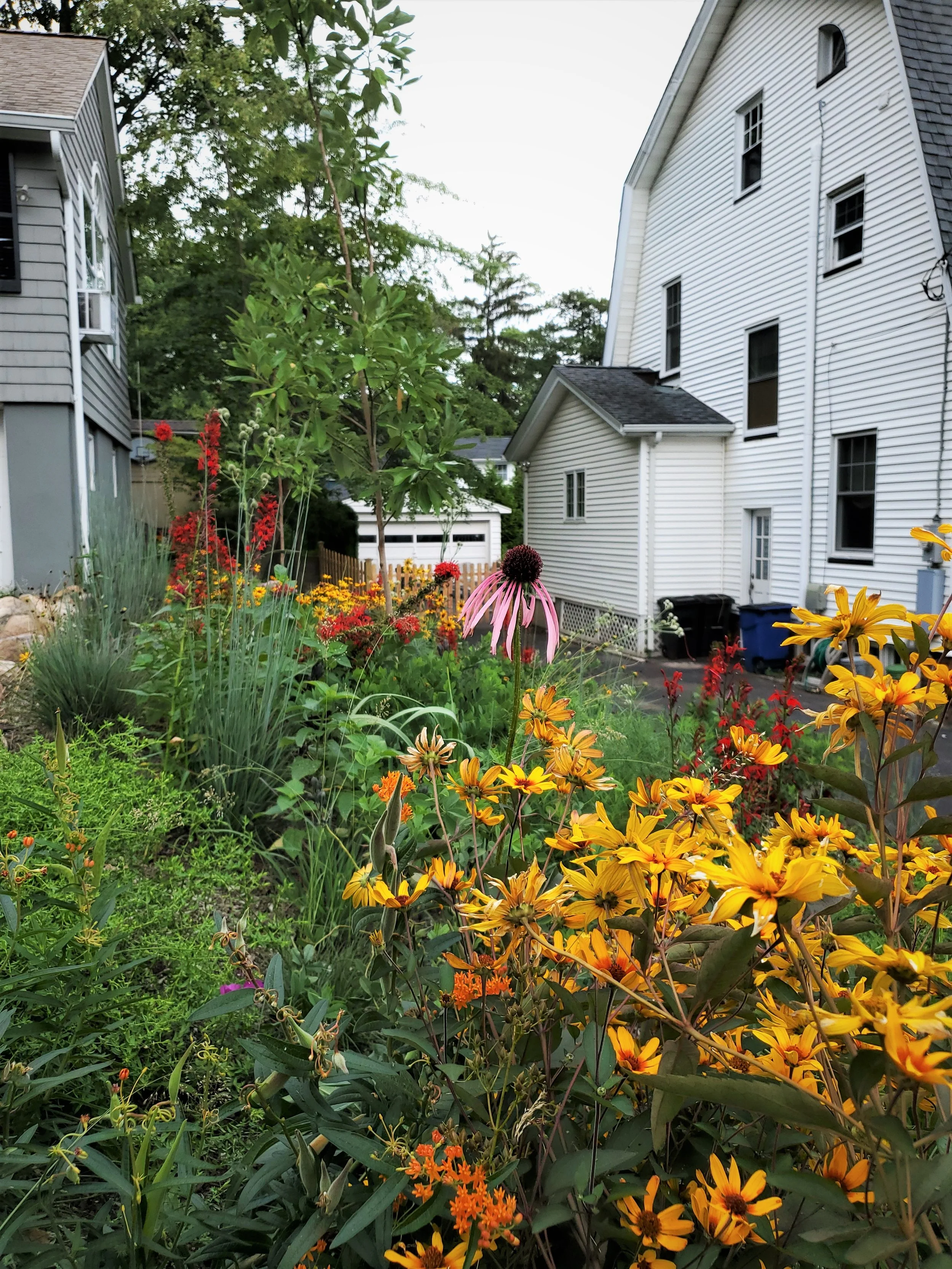 A garden with a variety of colorful flowers, including yellow, orange, pink, and red blooms, is next to a white house with multiple windows and a small backyard. There are trees and a wooden fence in the background.
