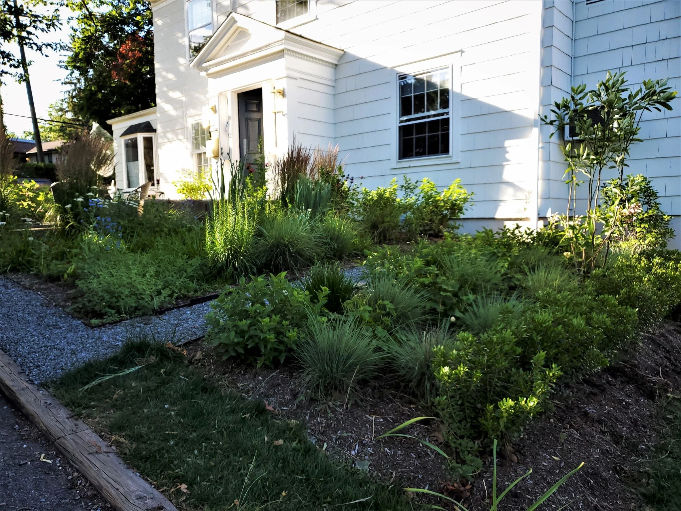 White house with garden in front, various plants and shrubs, gravel pathway.