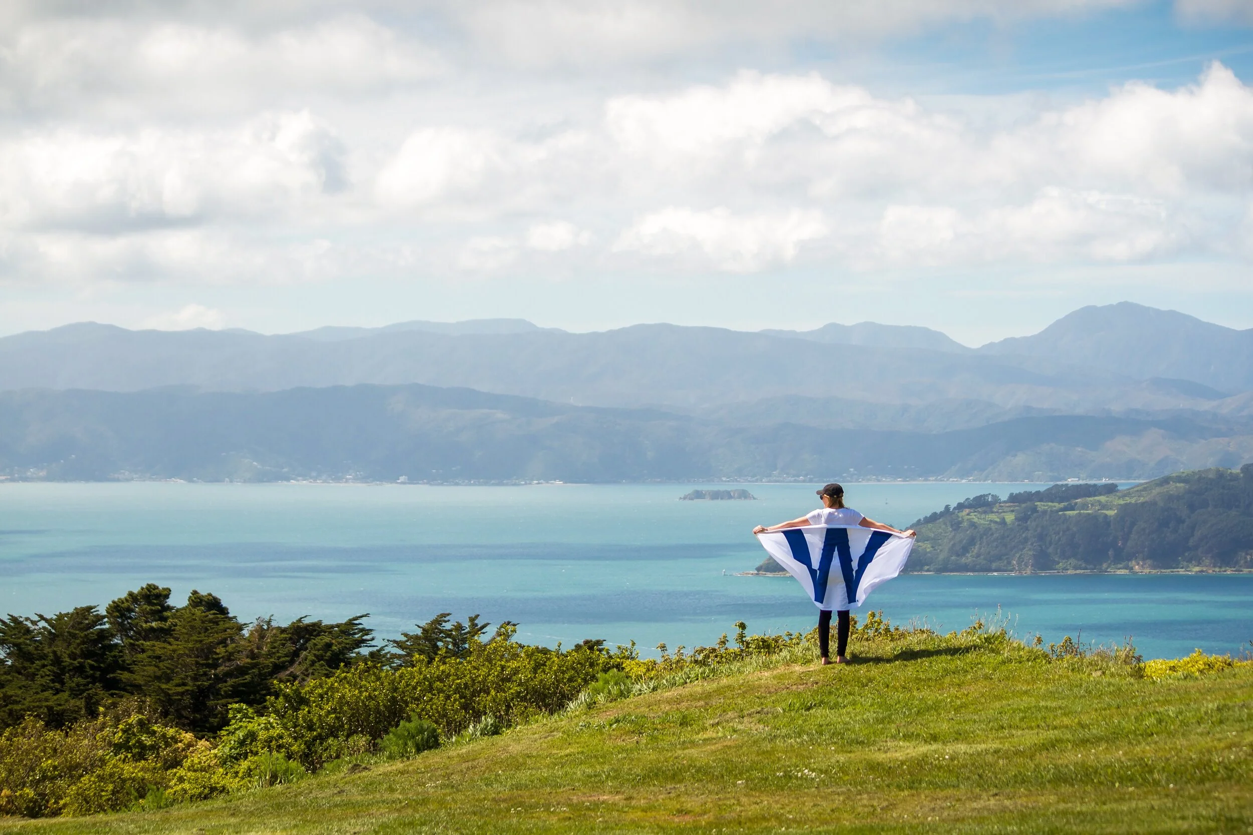 2016: The Great, the Shakeup, and the Devastation