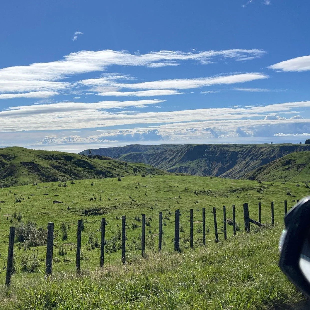 Site visits to remote and stunning corners of Hawke&rsquo;s Bay 🏡✨

Because even the hardest‑working homes in the most isolated places deserve the same level of care as the people who live in them.

And that&rsquo;s exactly what we&rsquo;re good at 