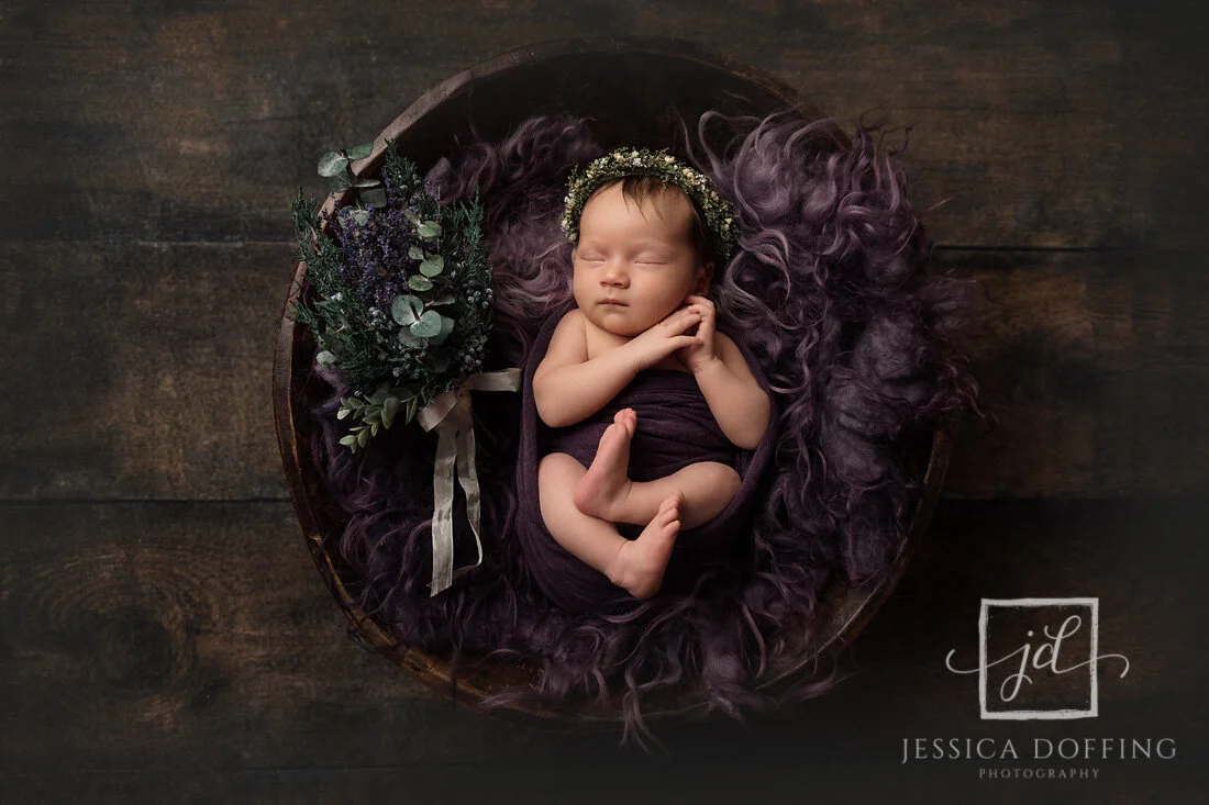 Newborn baby sleeping in a wooden bowl with deep purple fabrics and fresh juniper greenery during an Austin newborn photography session.
