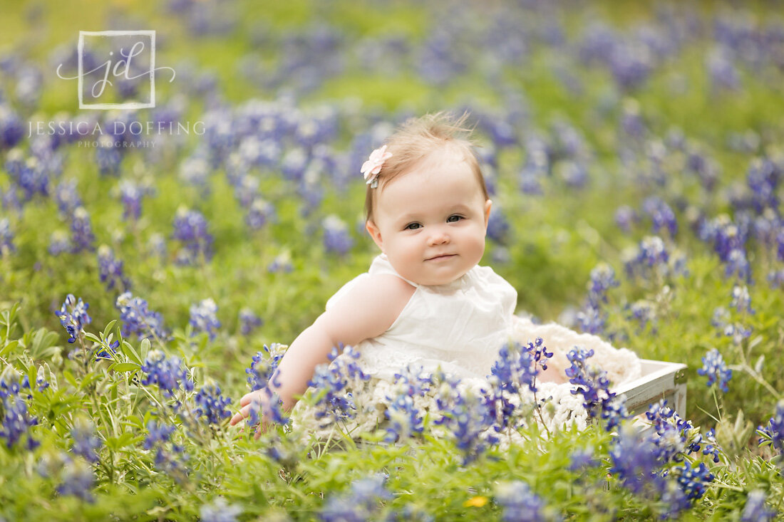 baby girl bluebonnets