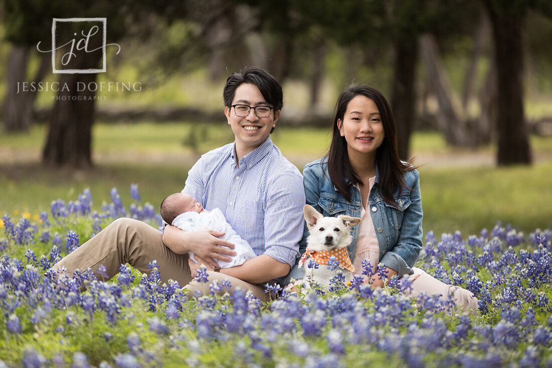 family newborn dog bluebonnets