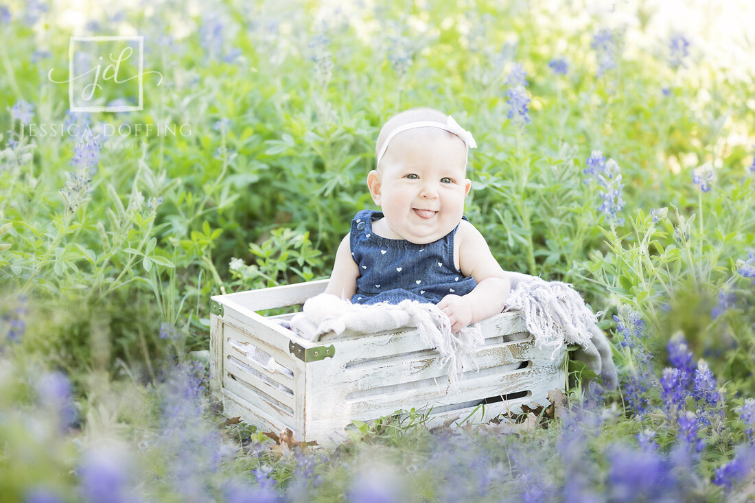 baby girl in box bluebonnets
