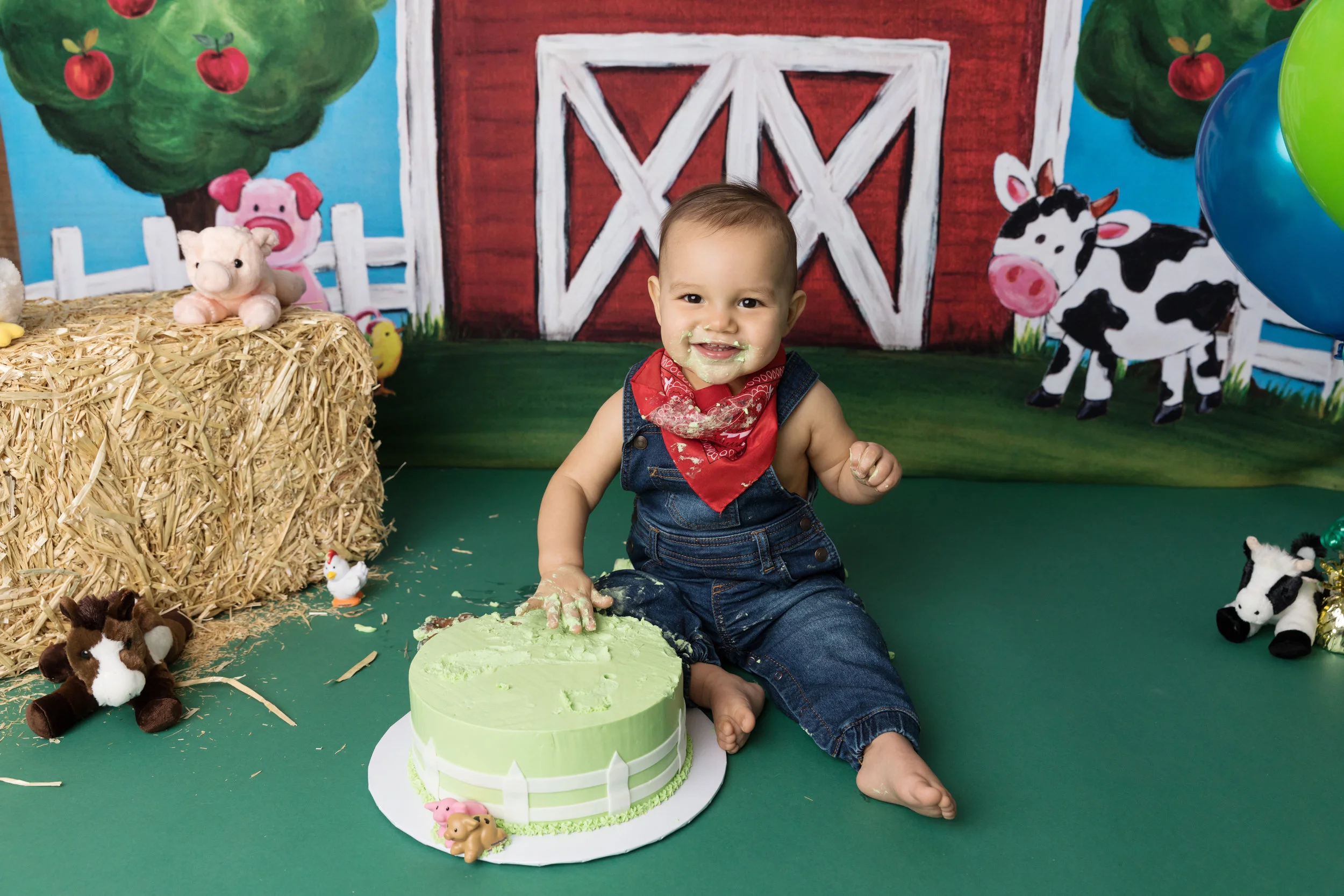 Farm theme cake smash with barn and farm animals and baby boy smashing birthday cake.