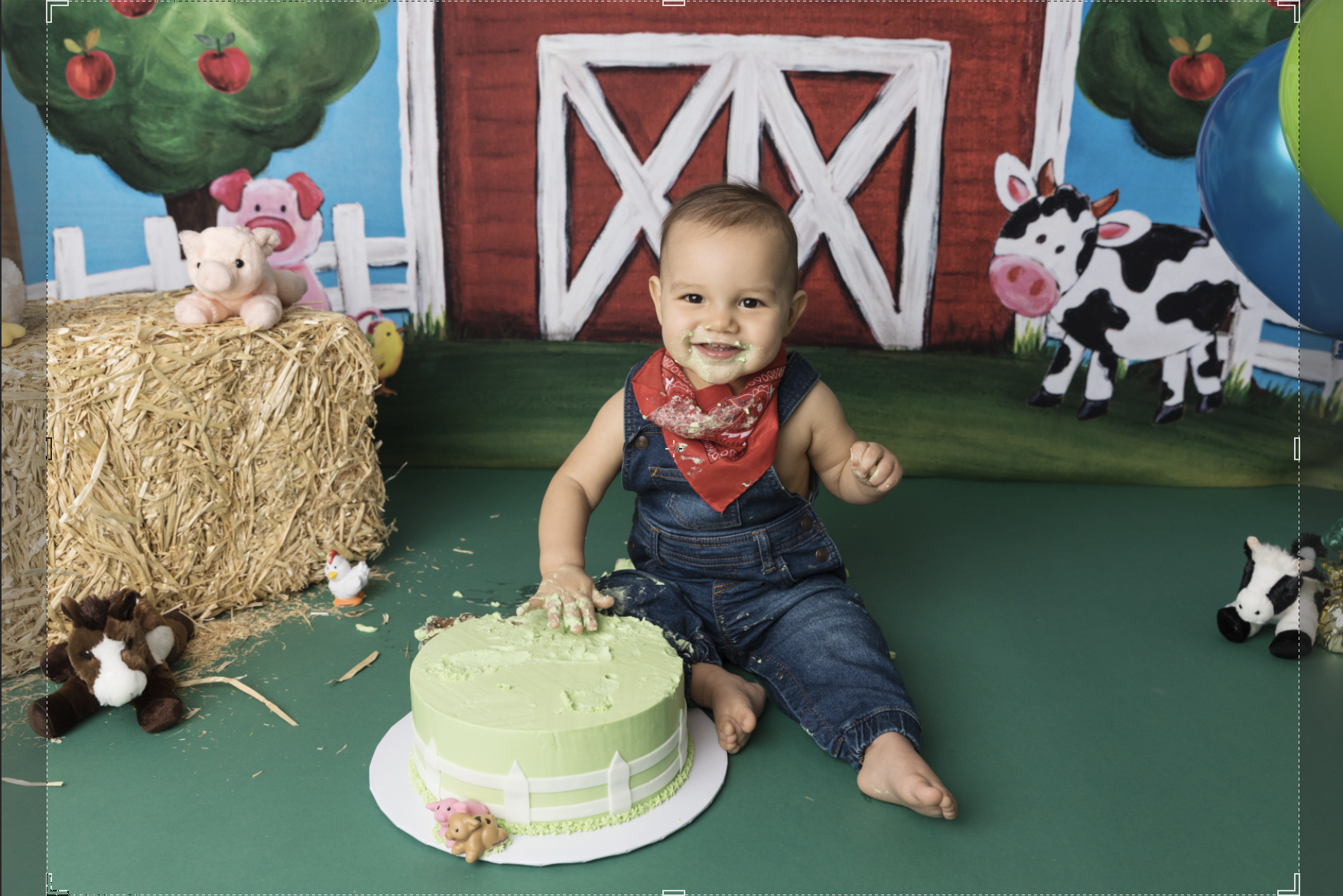 farm cake smash image cropped to 5x7