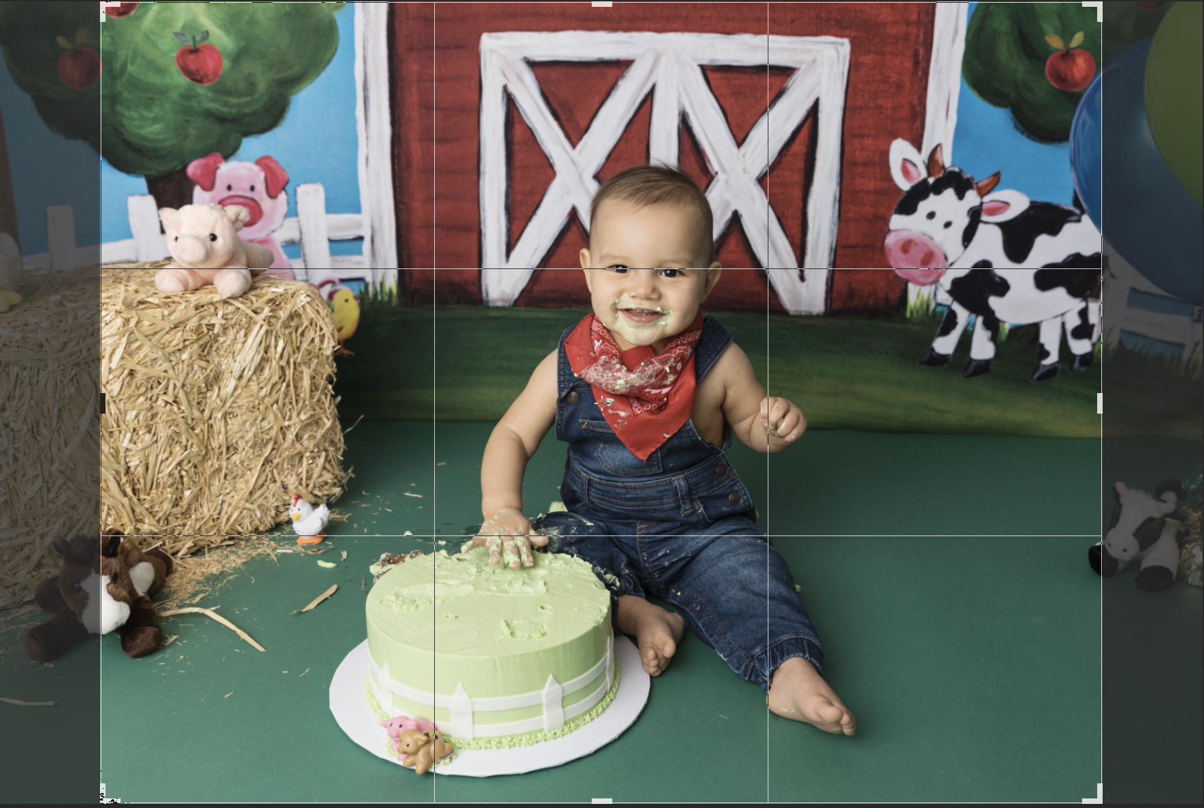 farm cake smash image cropped to 8x10