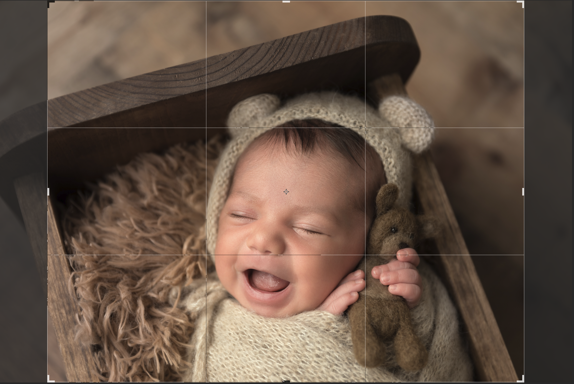 image of smiling newborn baby holding bear cropped to 8x10