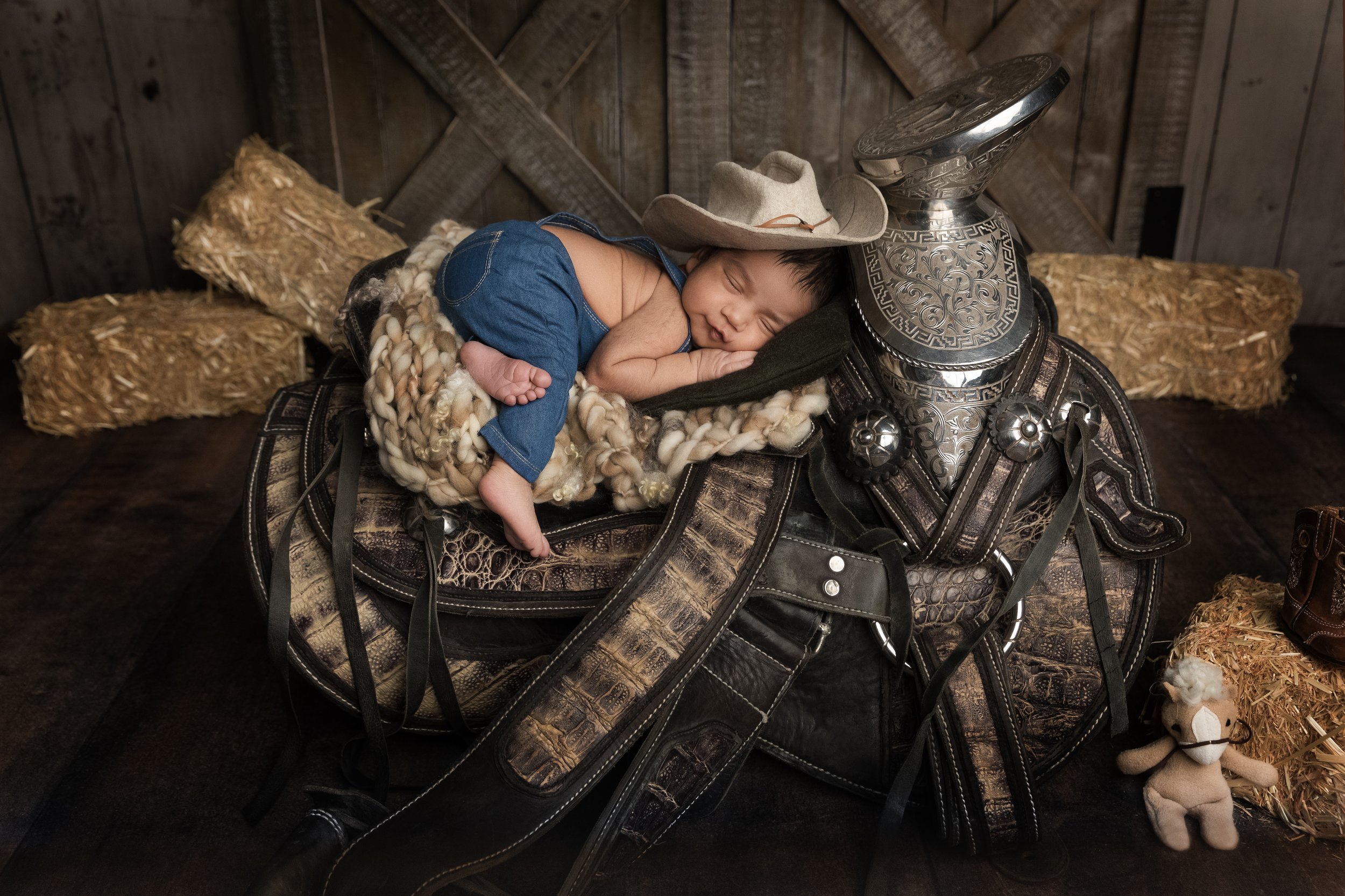 austin-newborn-photographer-custom-themed-session.jpg