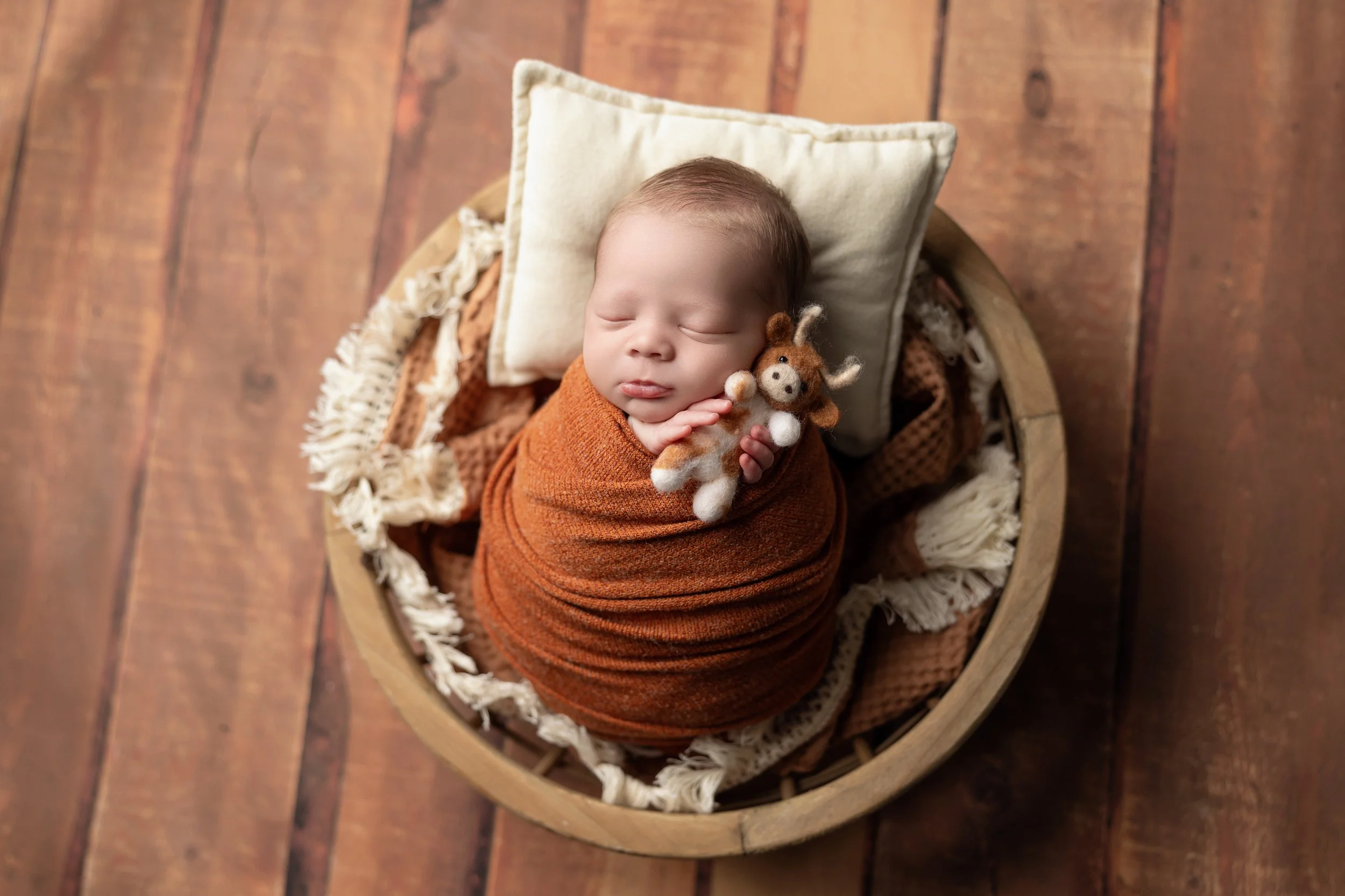 newborn-swaddled-Austin-UT-longhorns