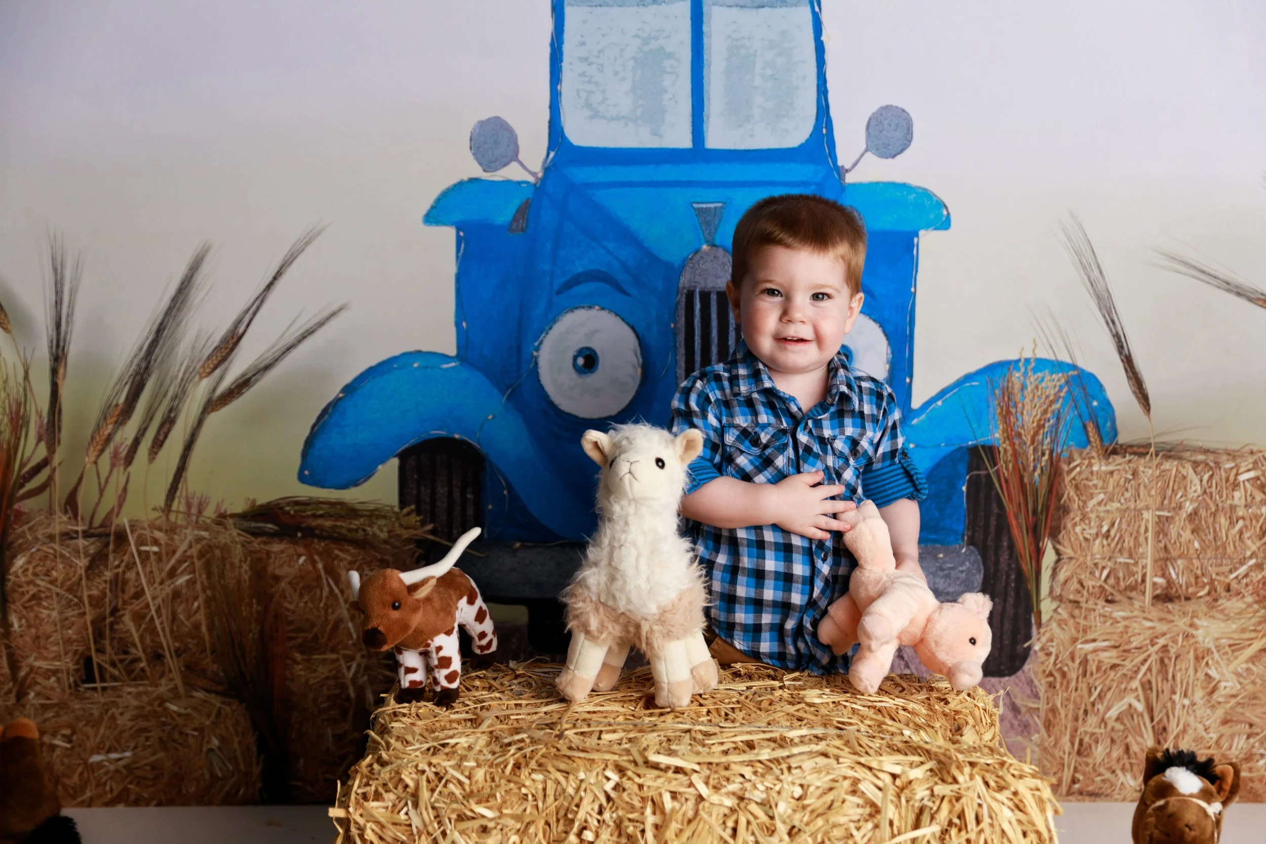 farm truck toddler mini session milestone photography