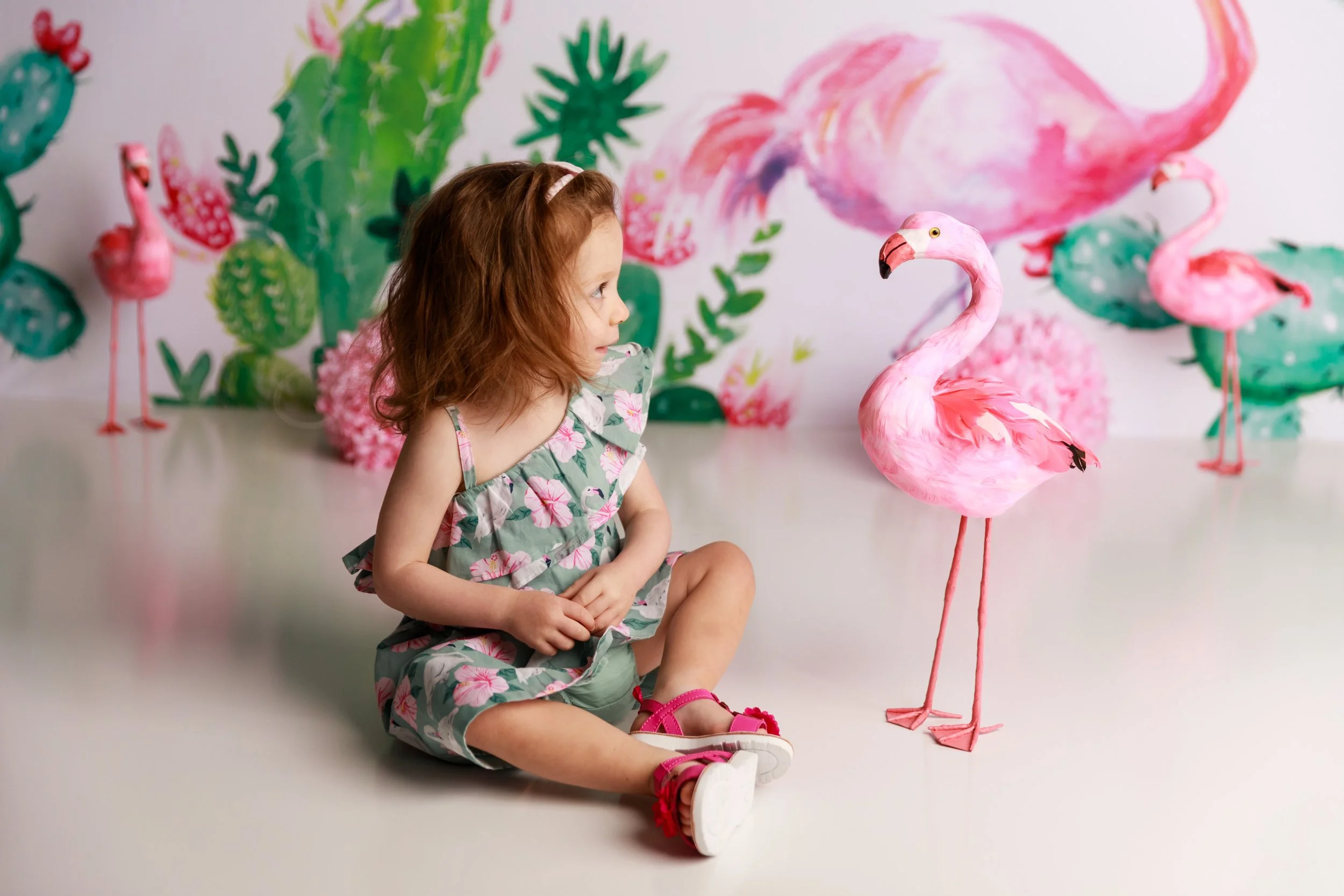 flamingo themed toddler birthday photoshoot colorful setup