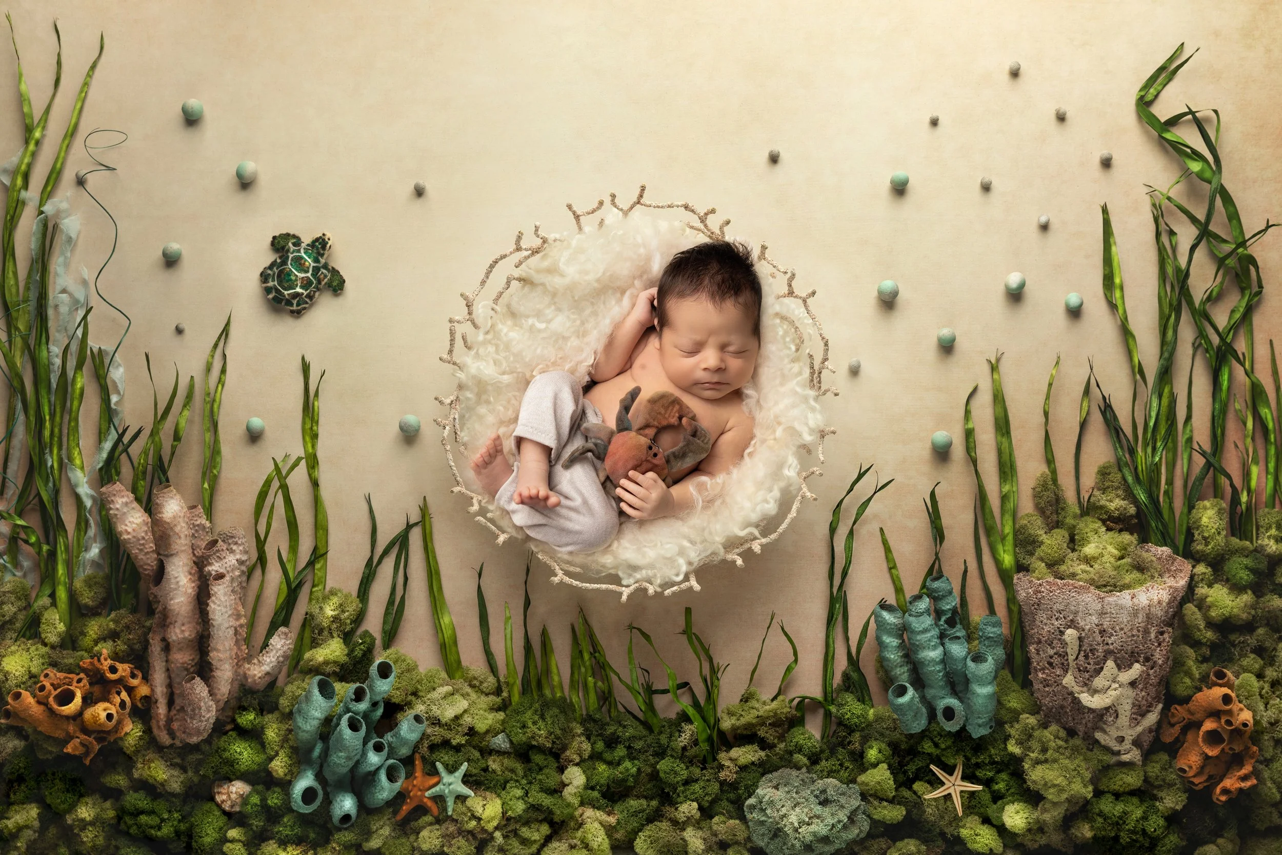 Underwater themed newborn setup with sea turtles and ocean floor details