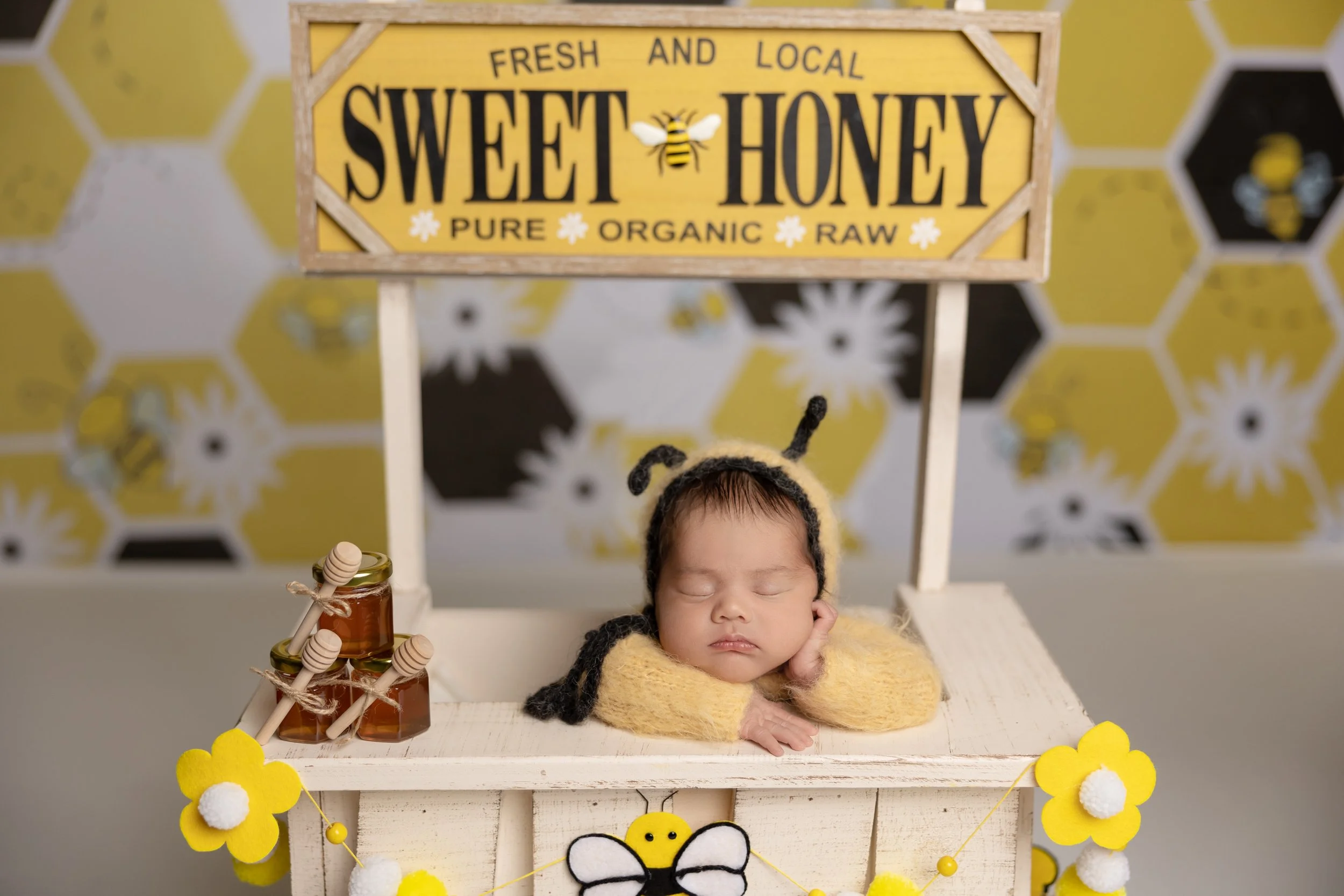 Newborn bumblebee theme with honey stand setup