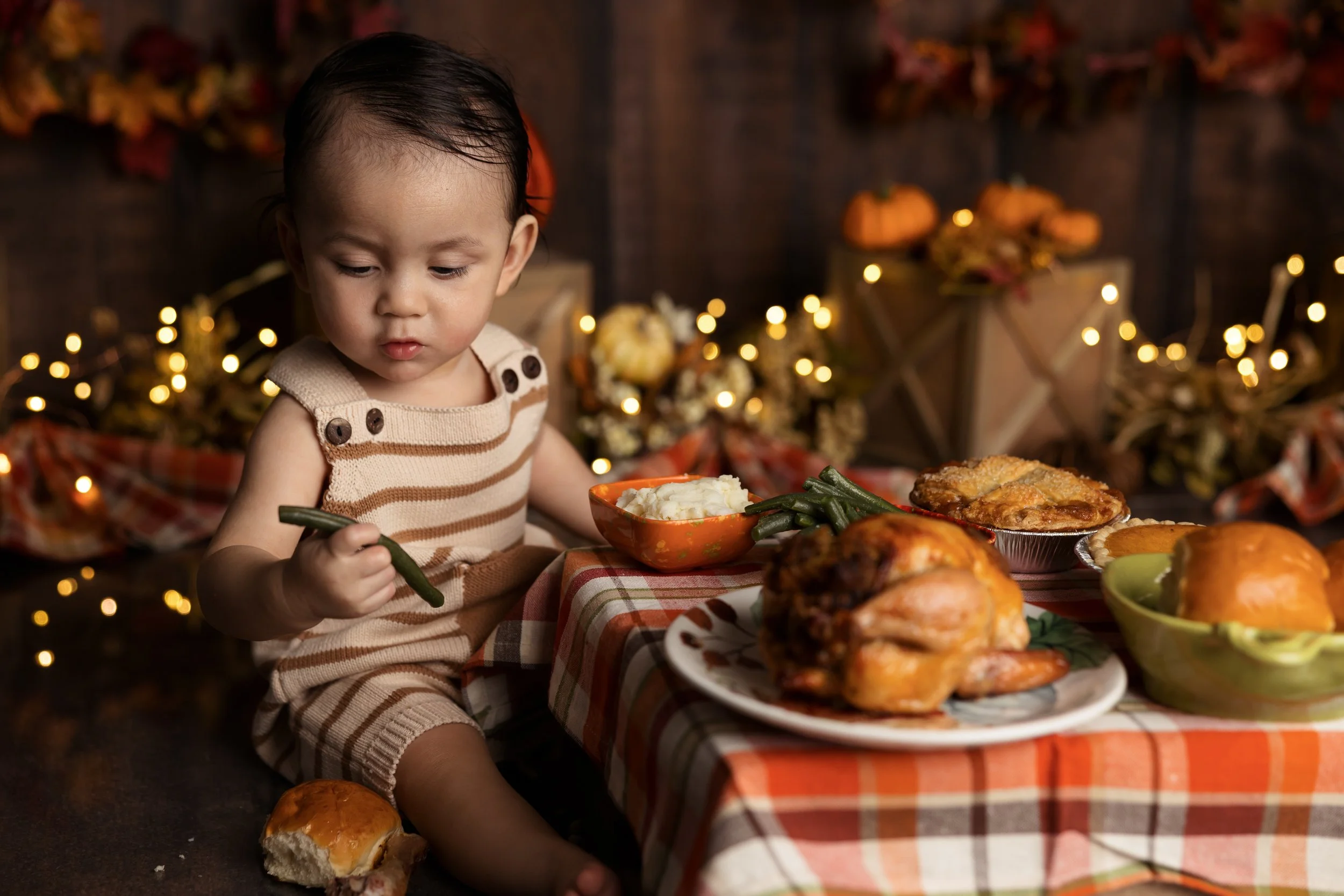 Baby Exploring Thanksgiving Feast During One Year Photos
