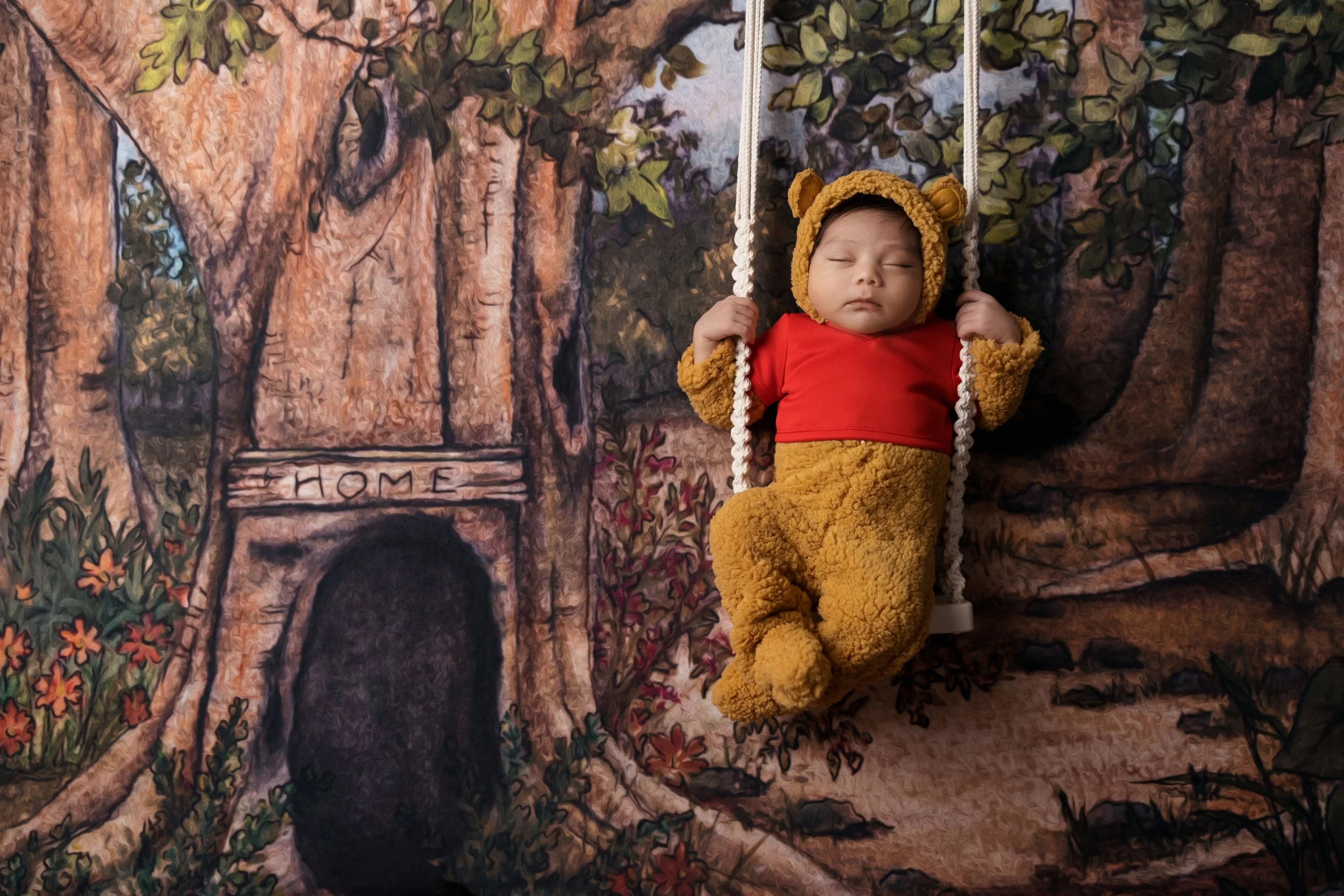 Winnie the Pooh Newborn Theme