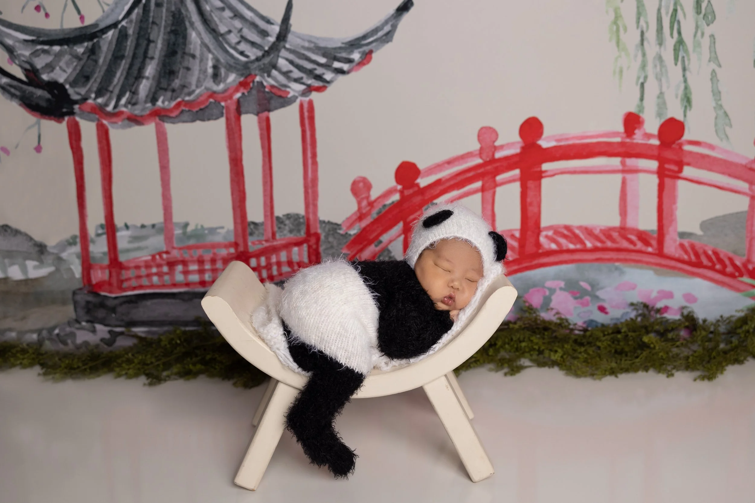 Panda Newborn Portrait