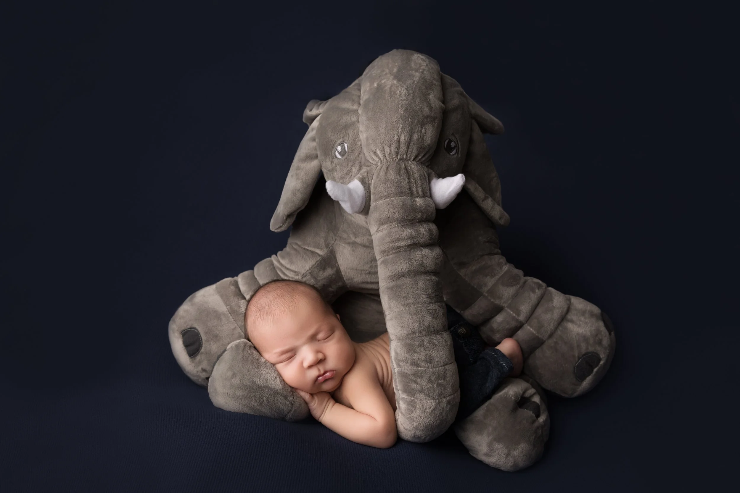Elephant Baby Theme