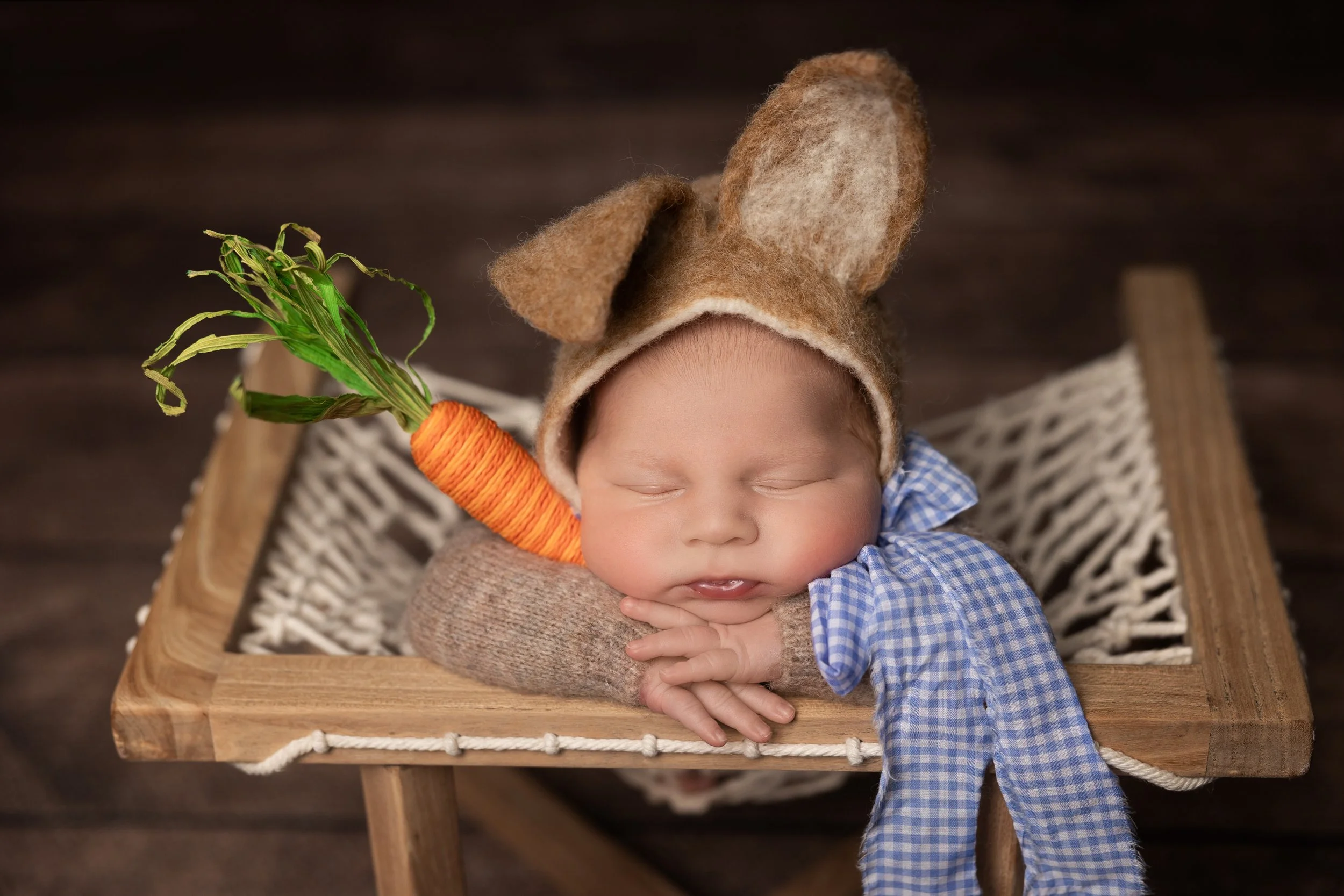 Peter Rabbit Newborn Portrait