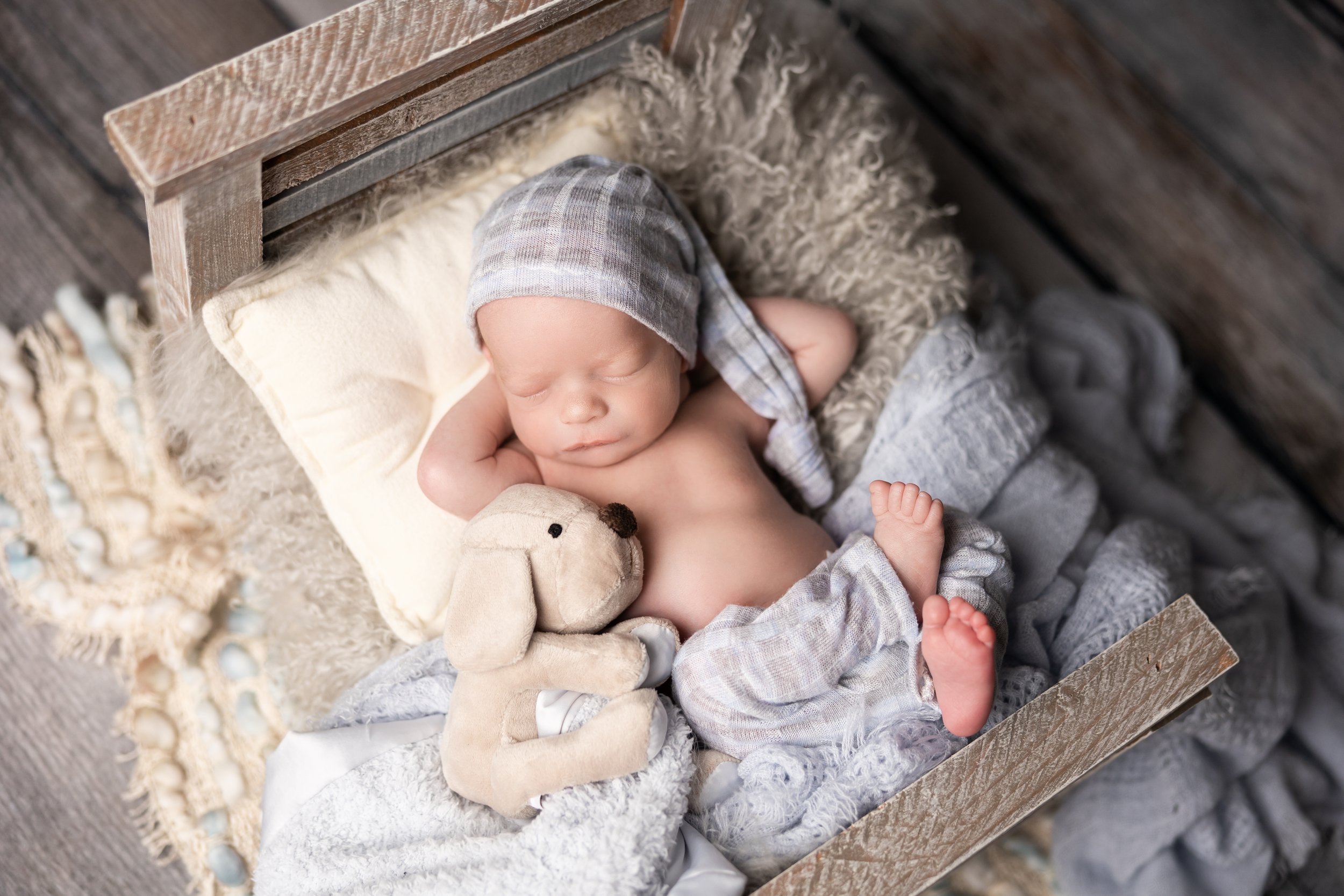 Blue Newborn Bed Portrait with Plush Bunny