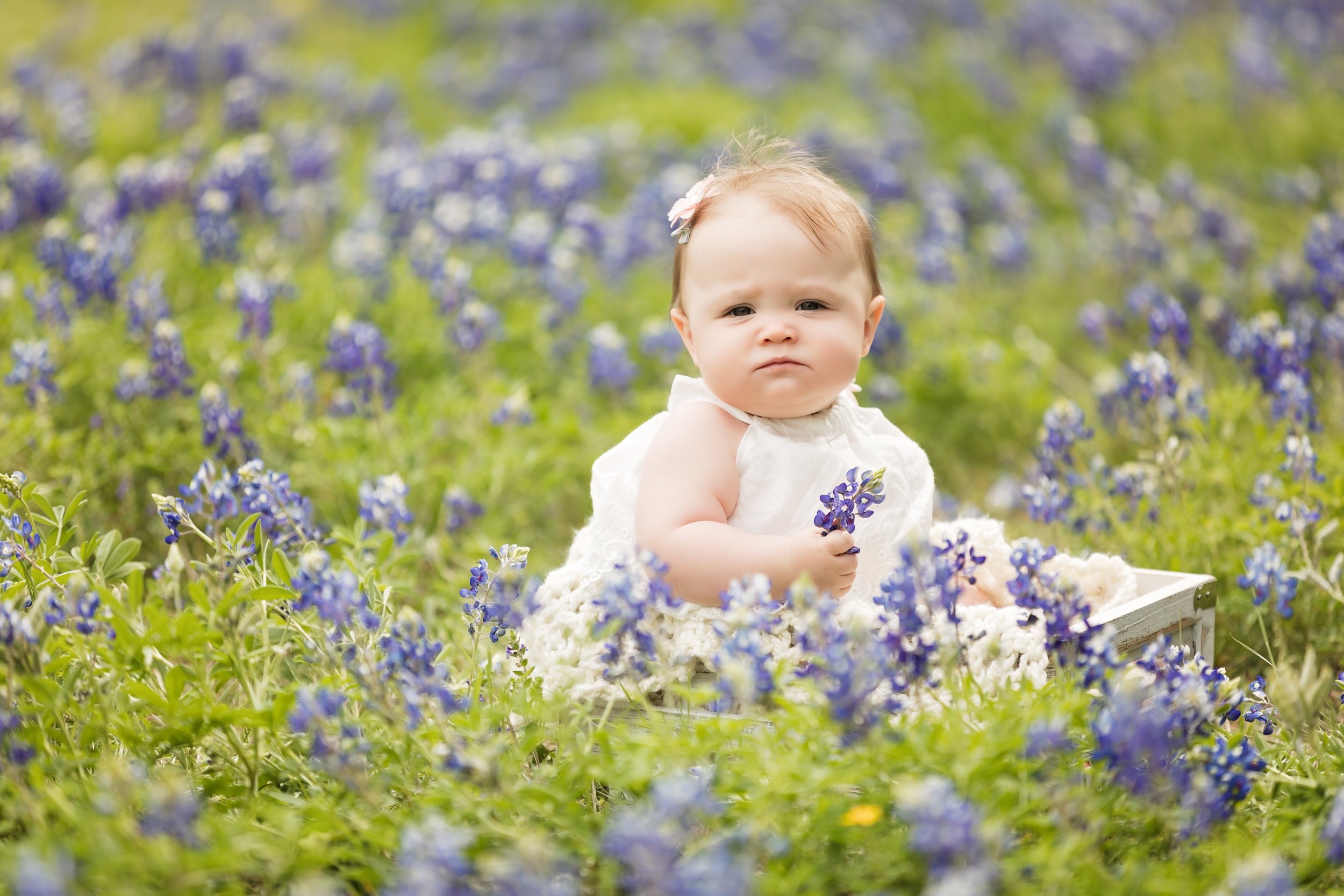 Bluebonnet Baby Portrait