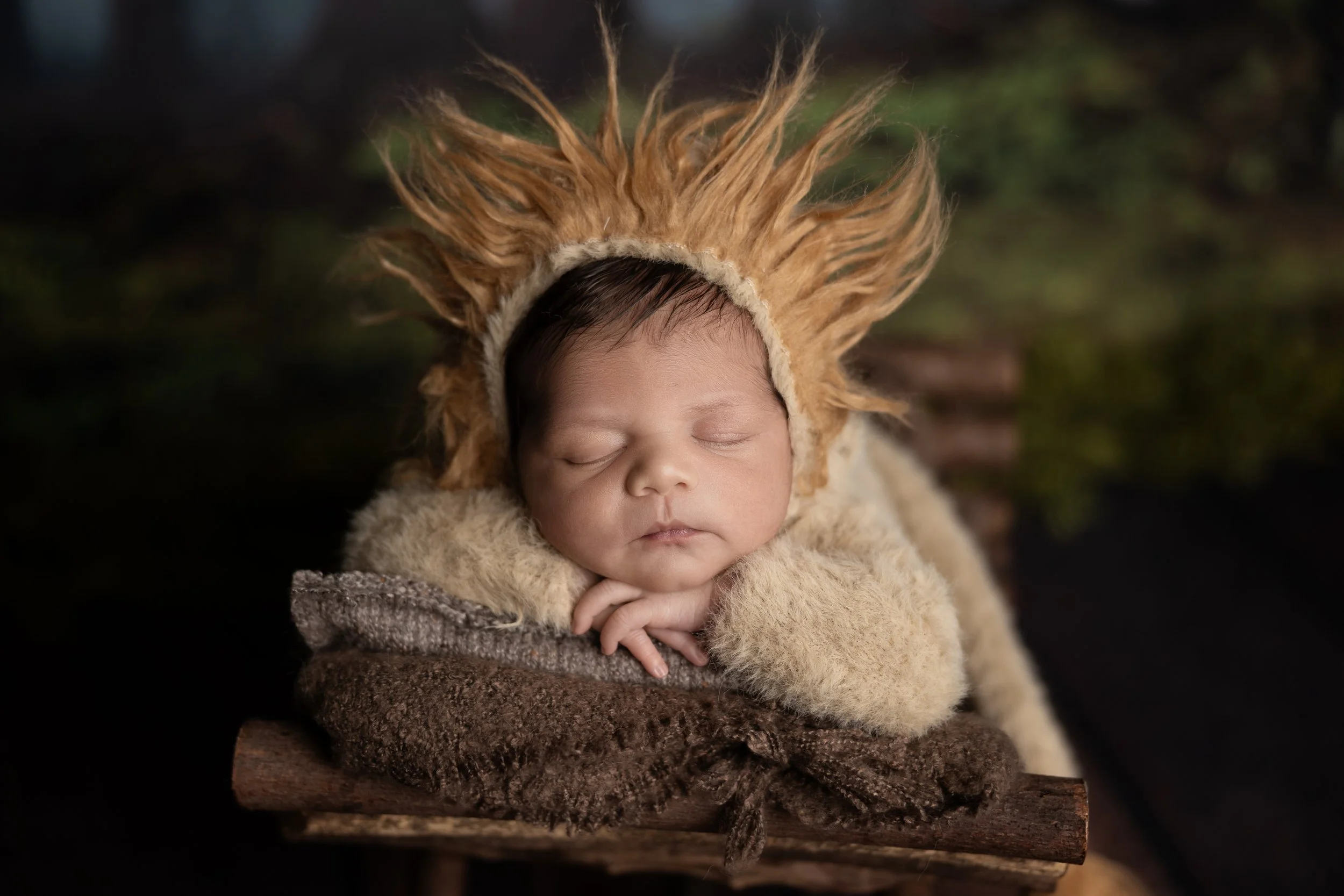 Lion-themed newborn portrait featuring a sleeping baby styled in an adorable animal-inspired setup.