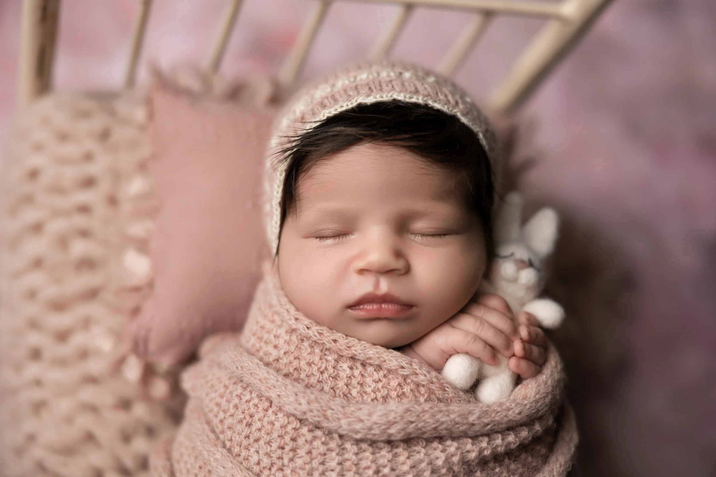 Close-up newborn photography image featuring a sleeping baby wrapped in a blush swaddle holding a small stuffed lovie.