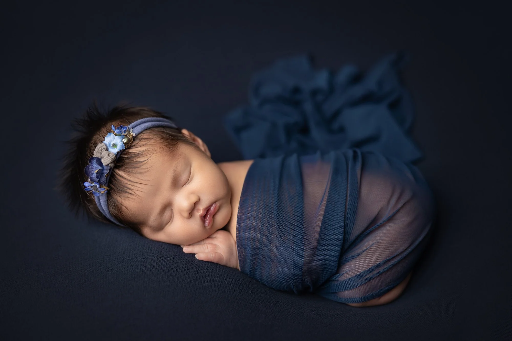 baby girl on blue background wrapped in sheer fabric posed in Austin Texas newborn photography studio