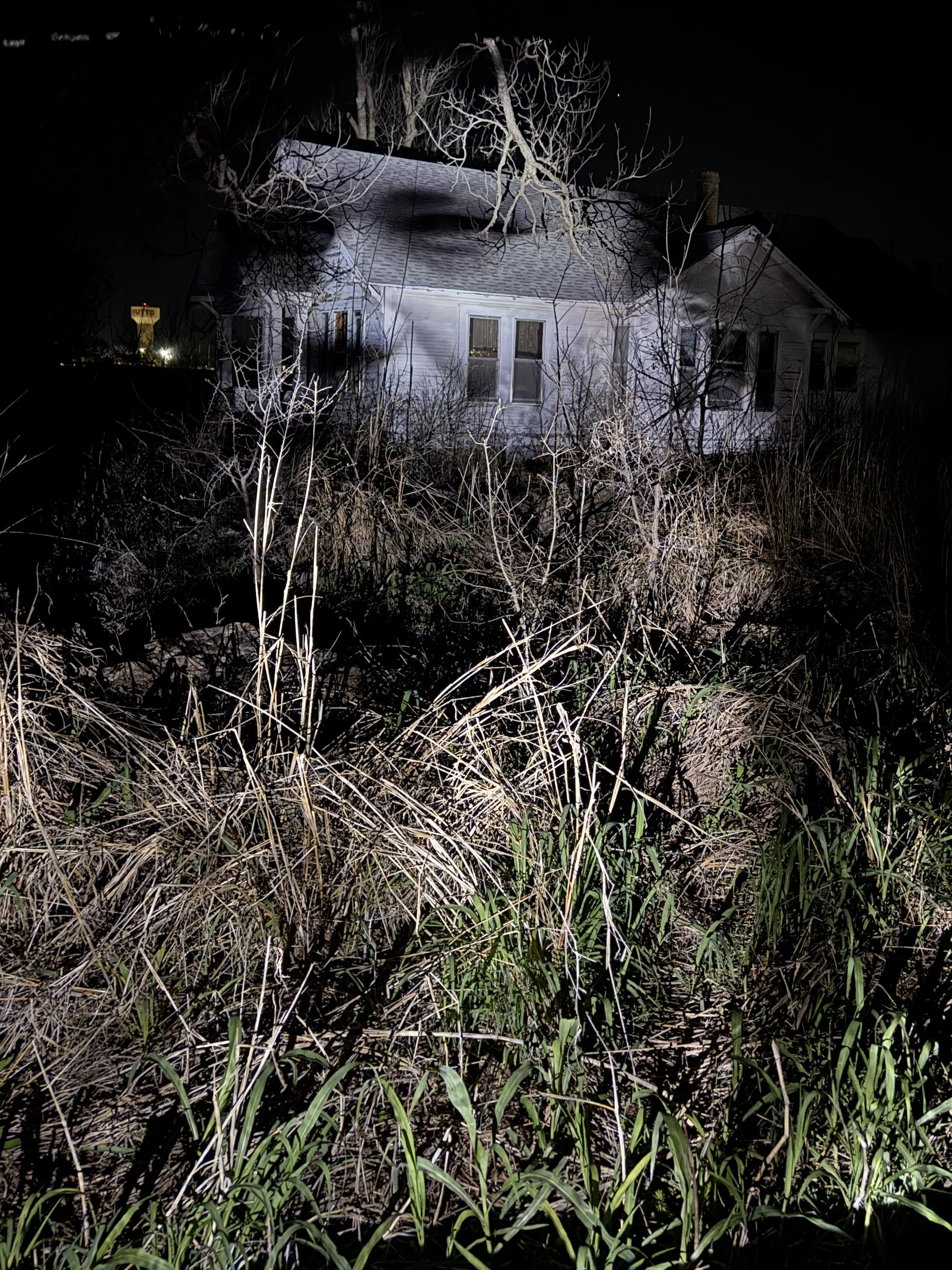 Projection_House