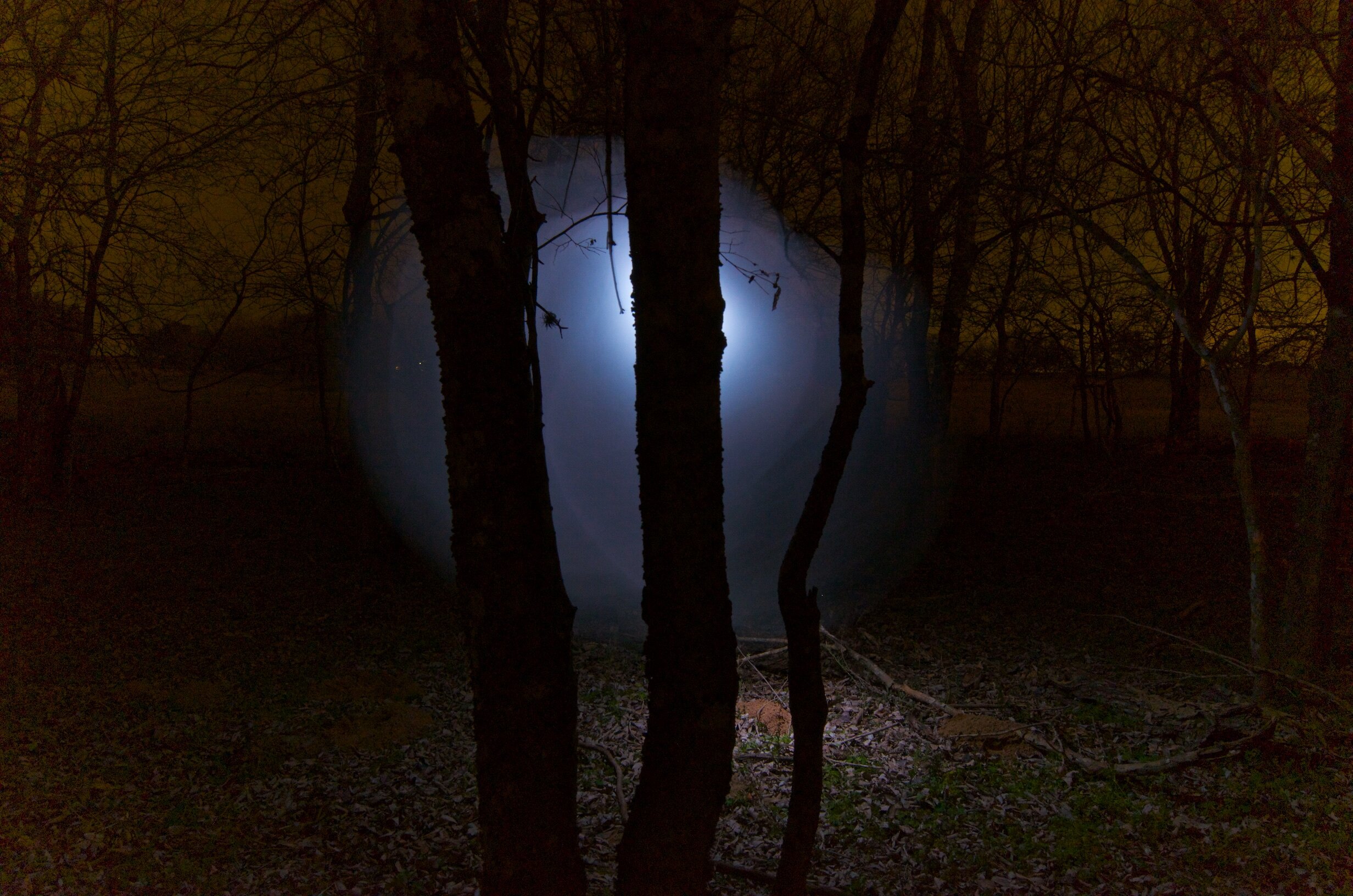 UFO for print 50.jpg