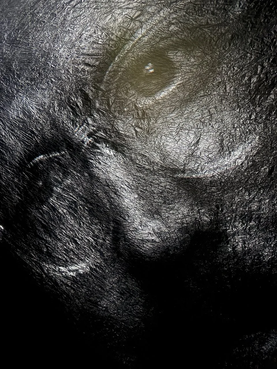 PROJ_FACES - 1 (2).jpeg