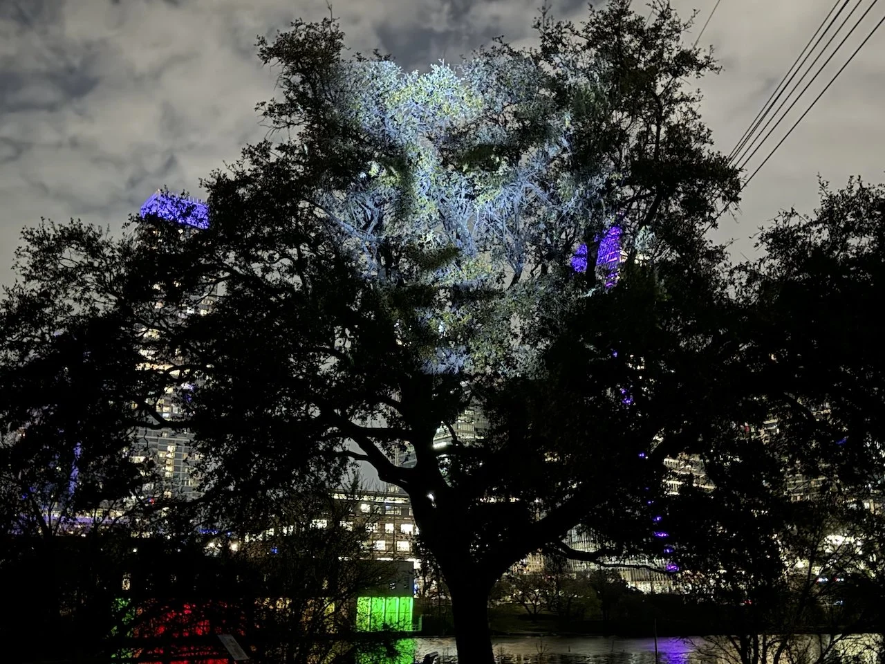 PROJ_FACES - 1 (1).jpeg