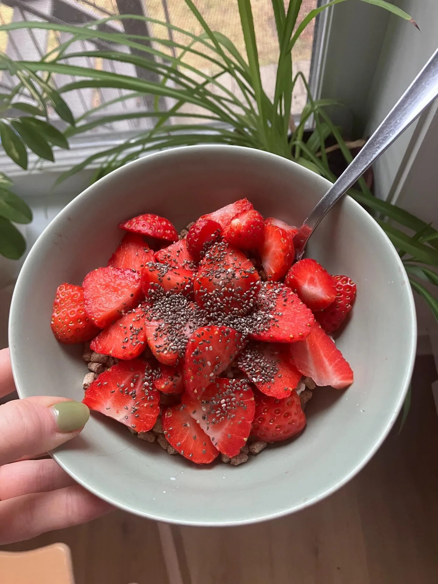 Strawberry + chia + granola + yogurt bowls every day 🍓