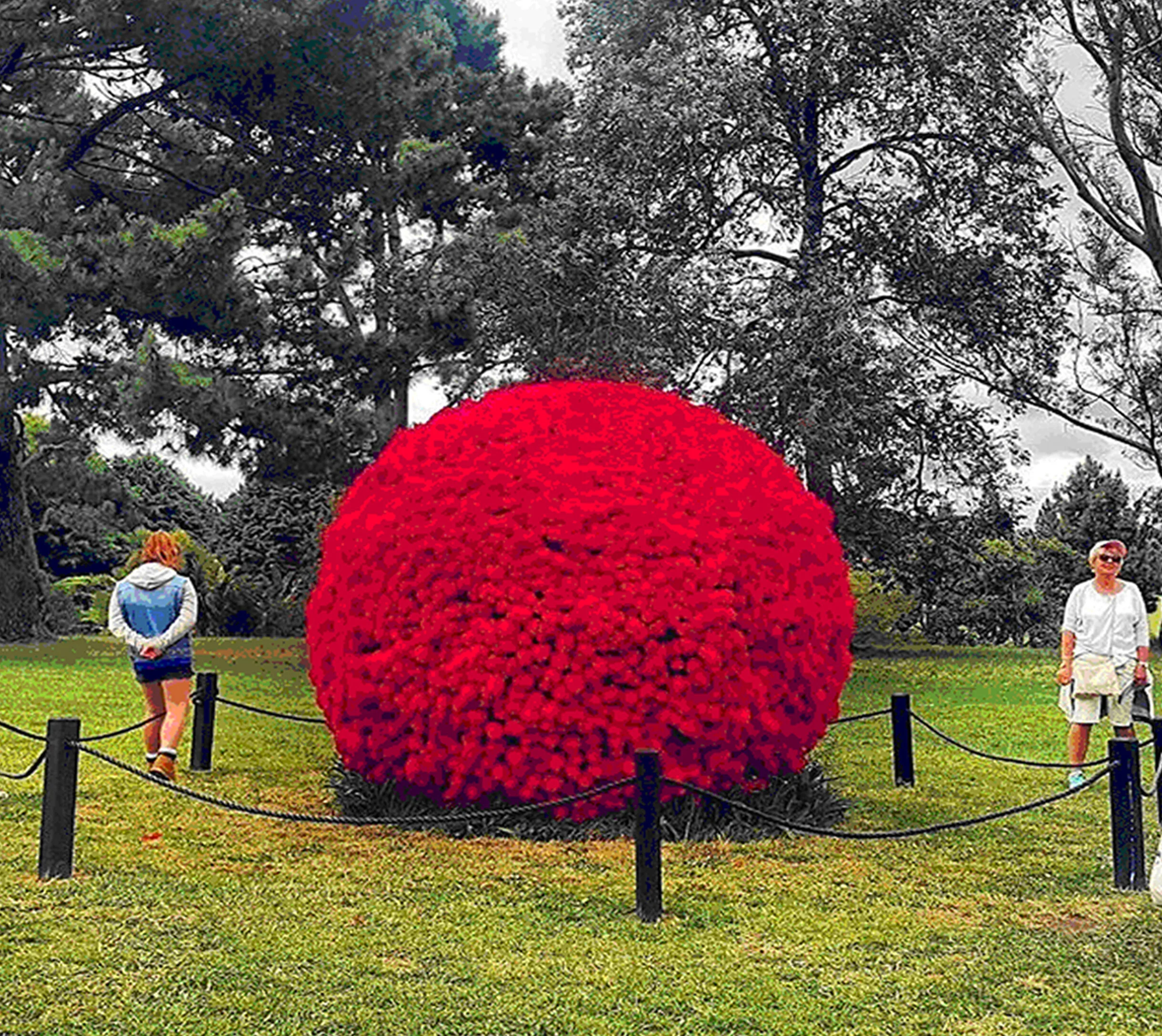 Sculpture in the Gardens (2017-2018) -Auckland Botanic gardens
