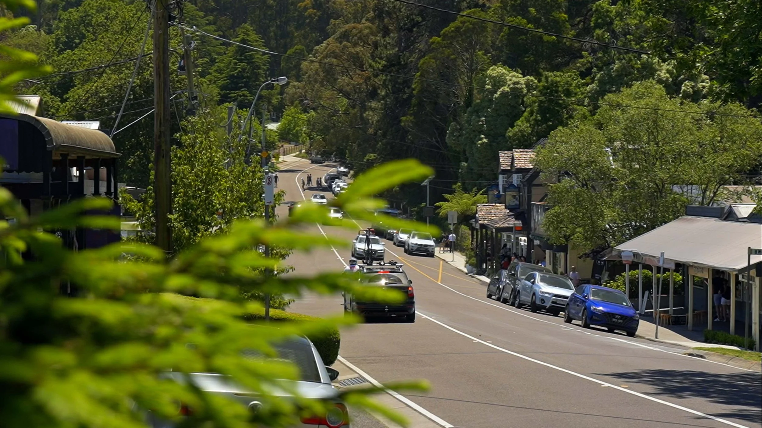 4K Sassafras_01_00_05_09.jpg