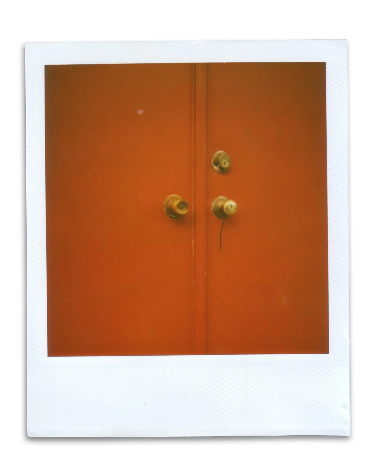 Polaroid_04.jpg