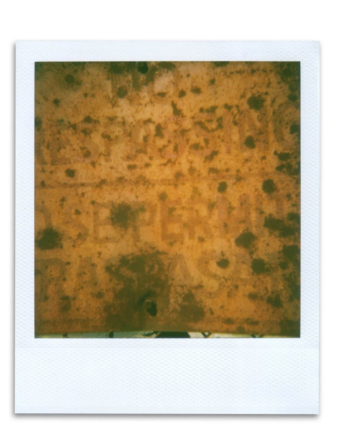 Polaroid_07.jpg